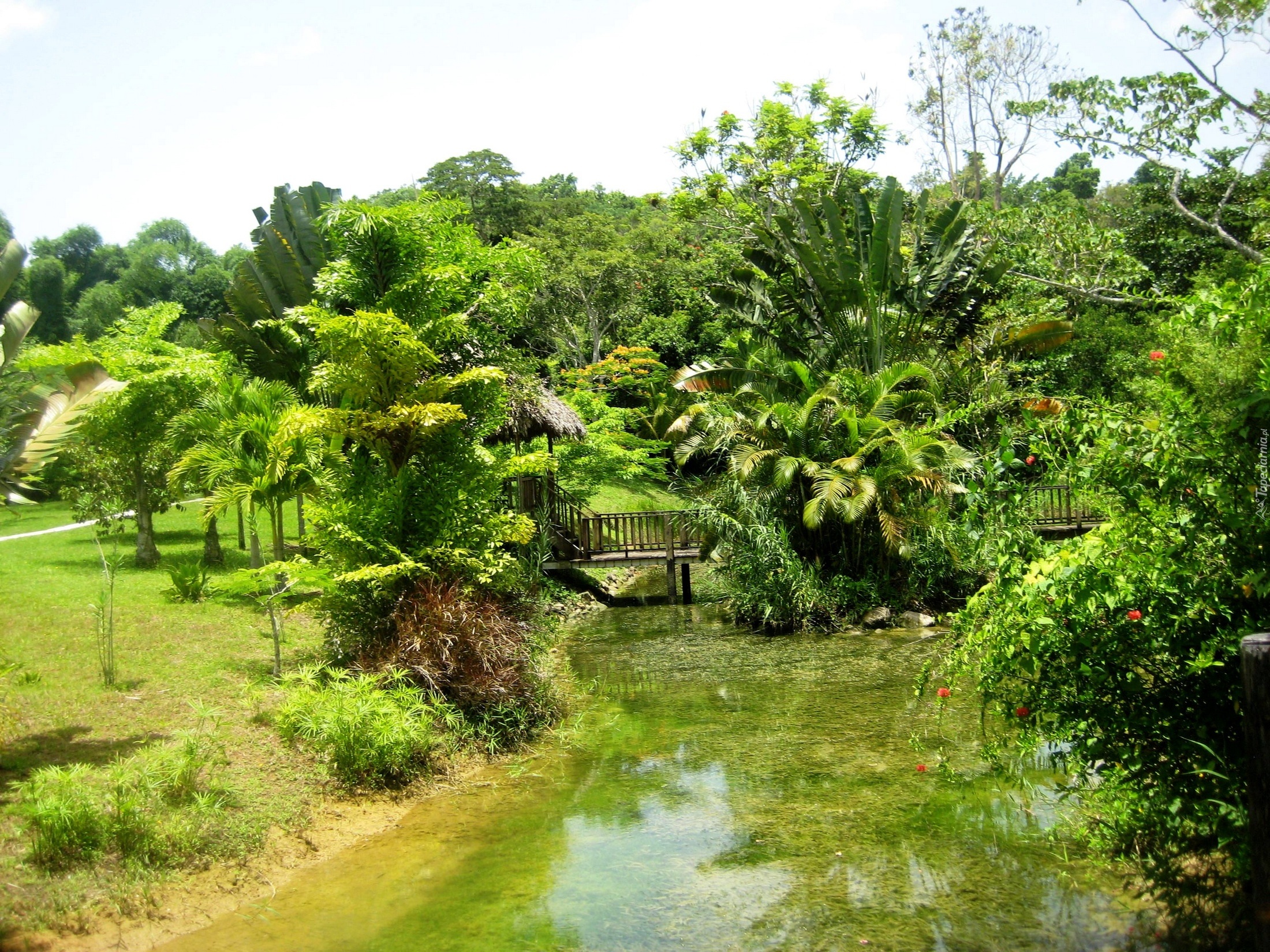 Park, Jamajka