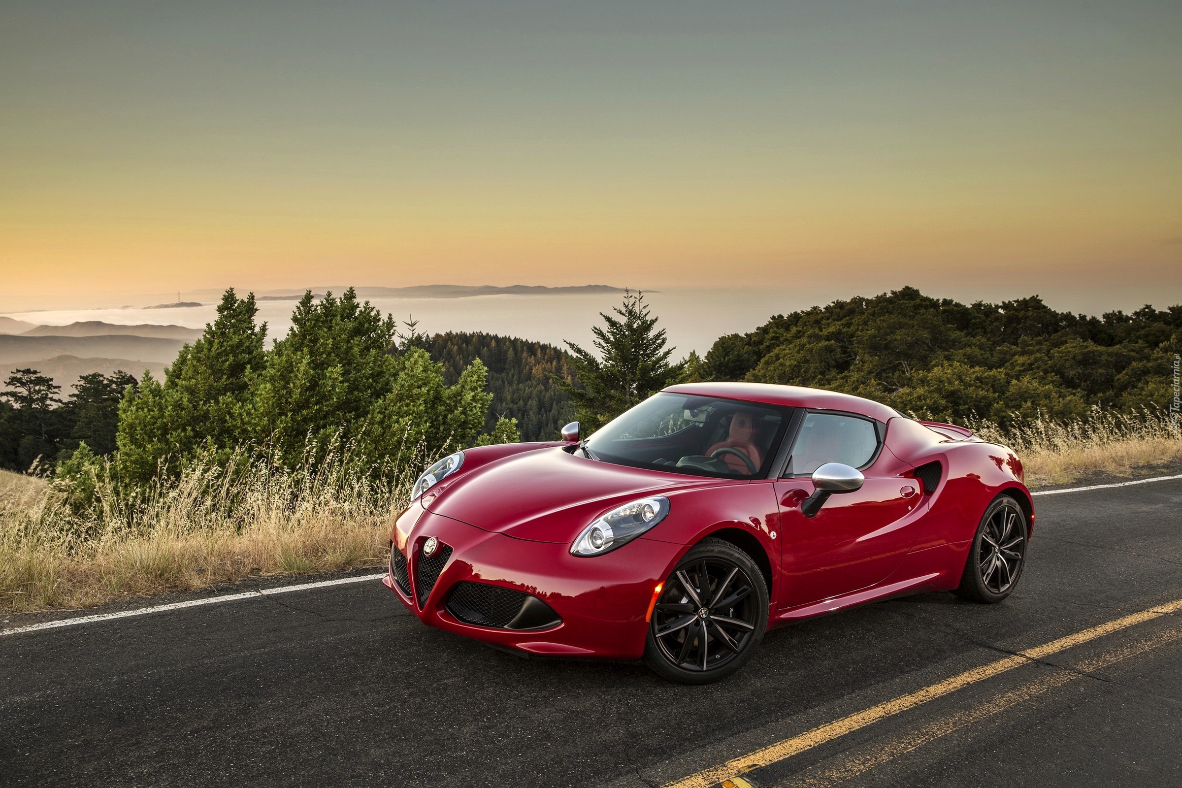 Czerwony, Alfa Romeo 4C