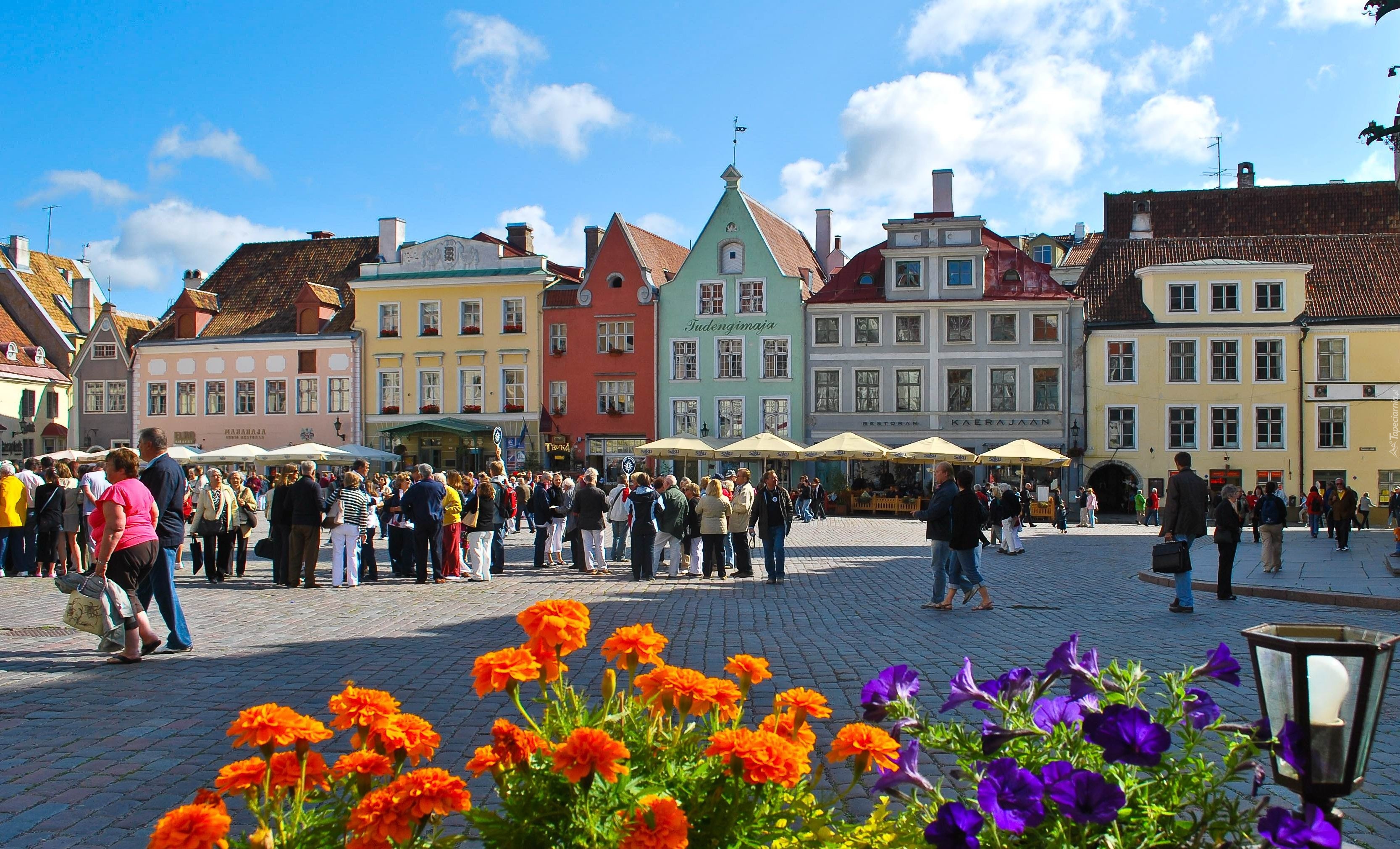 Estonia, Tallin, Rynek, Domy, Ludzie, Kwiaty