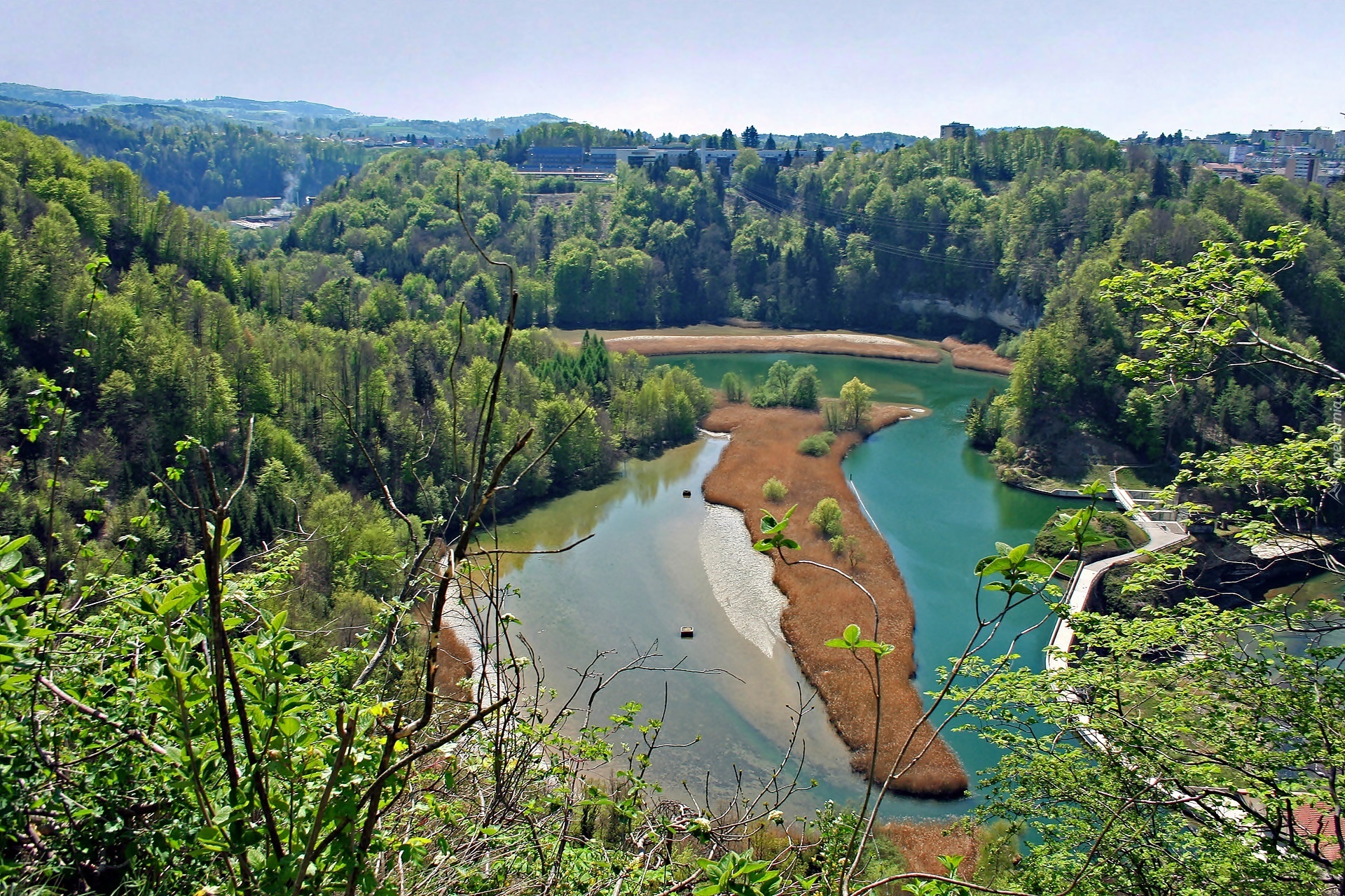 Rzeka, Sarine, Lasy, Fryburg, Szwajcaria