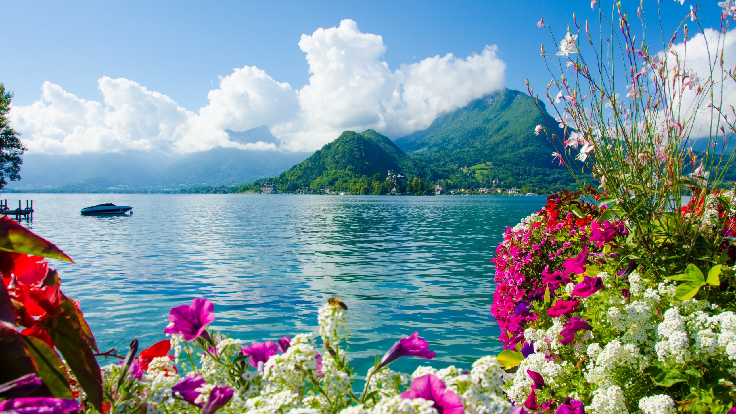 Morze, Góry, Kolorowe, Kwiaty