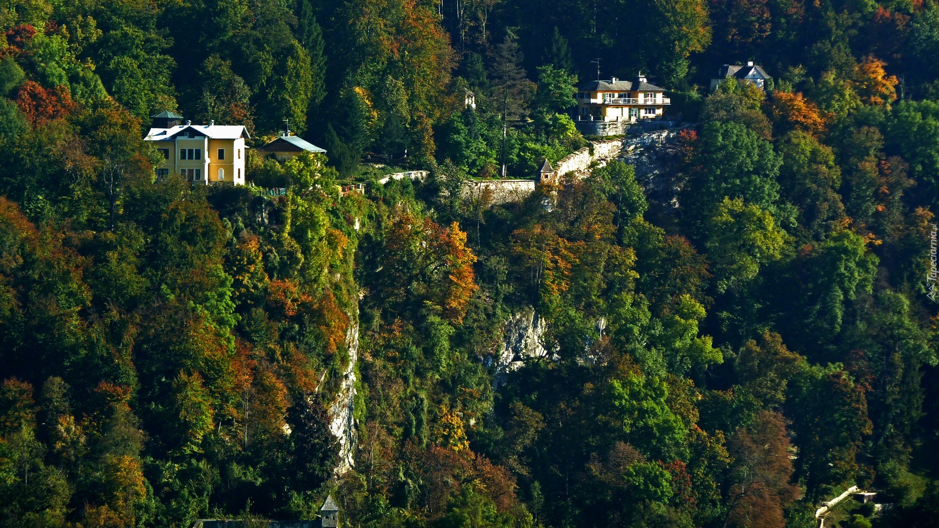 Domy, Lasy, Salzburg, Austria