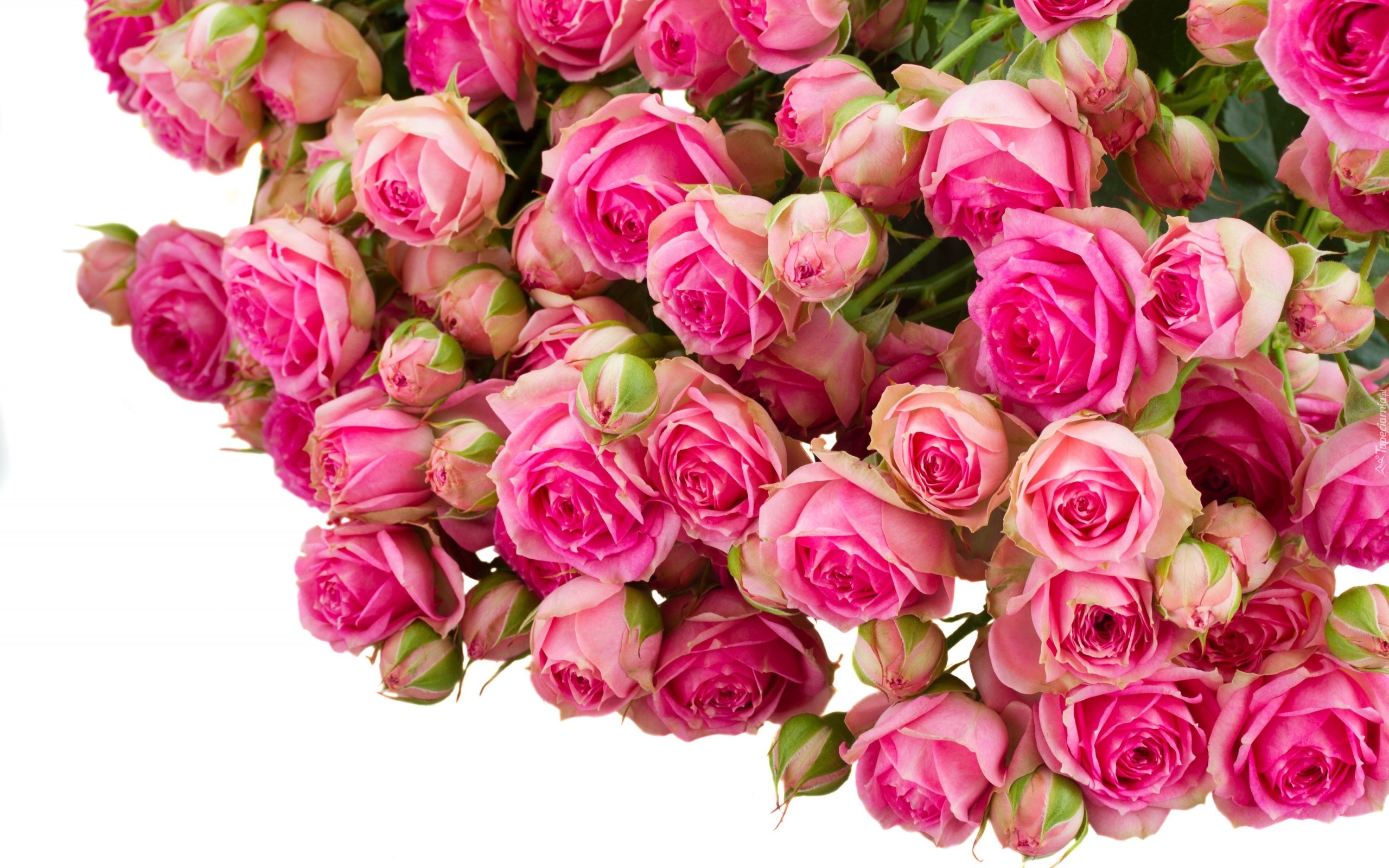 Kwiaty, Bukiet, Rozowe, Roze