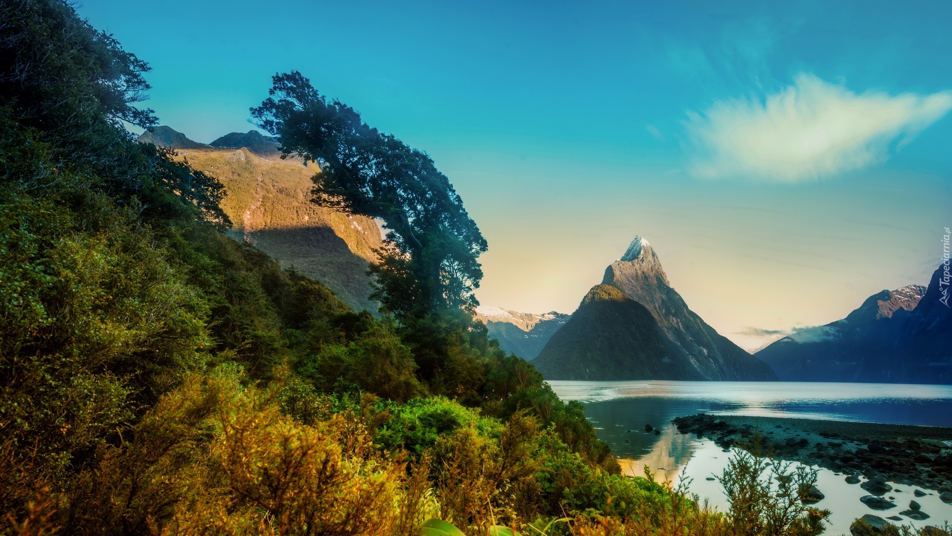 Góry, Roślinność, Milford, Nowa Zelandia