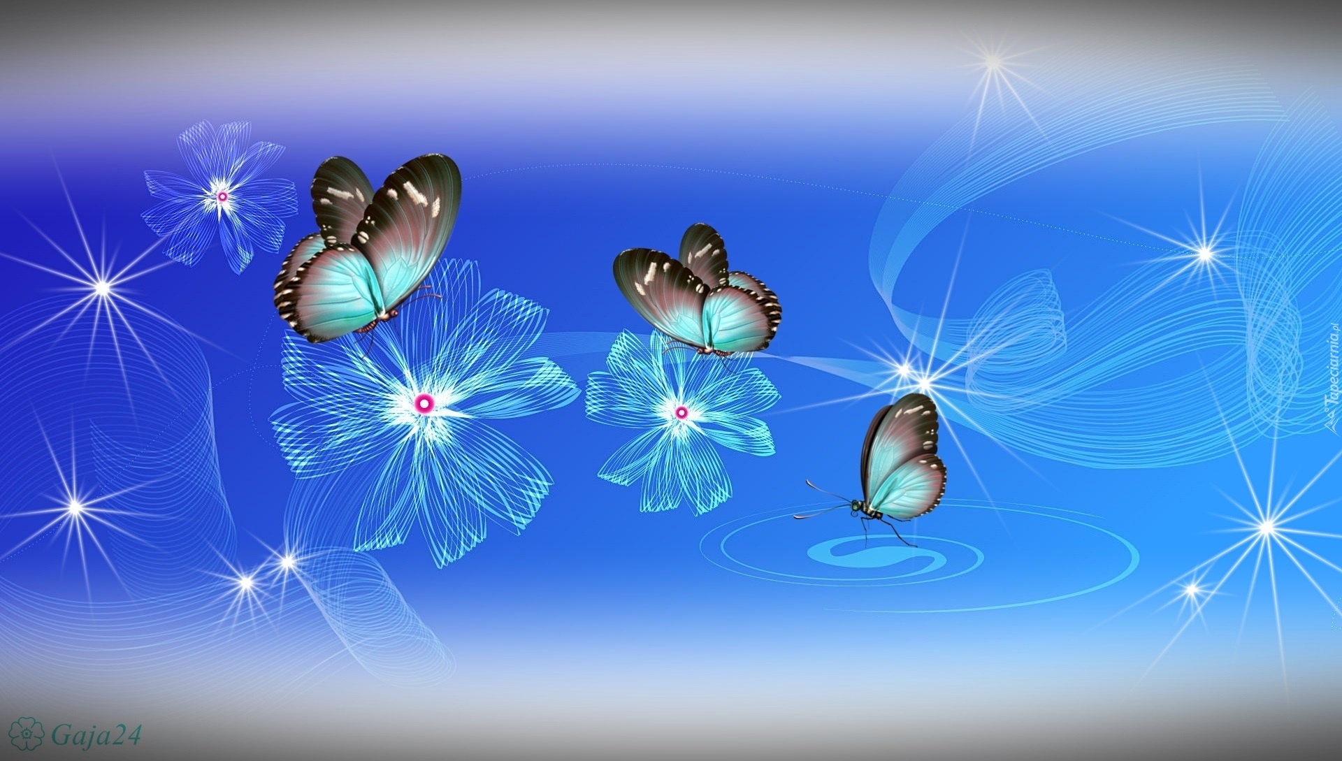 Motyle, Niebieskie Kwiaty, Grafika