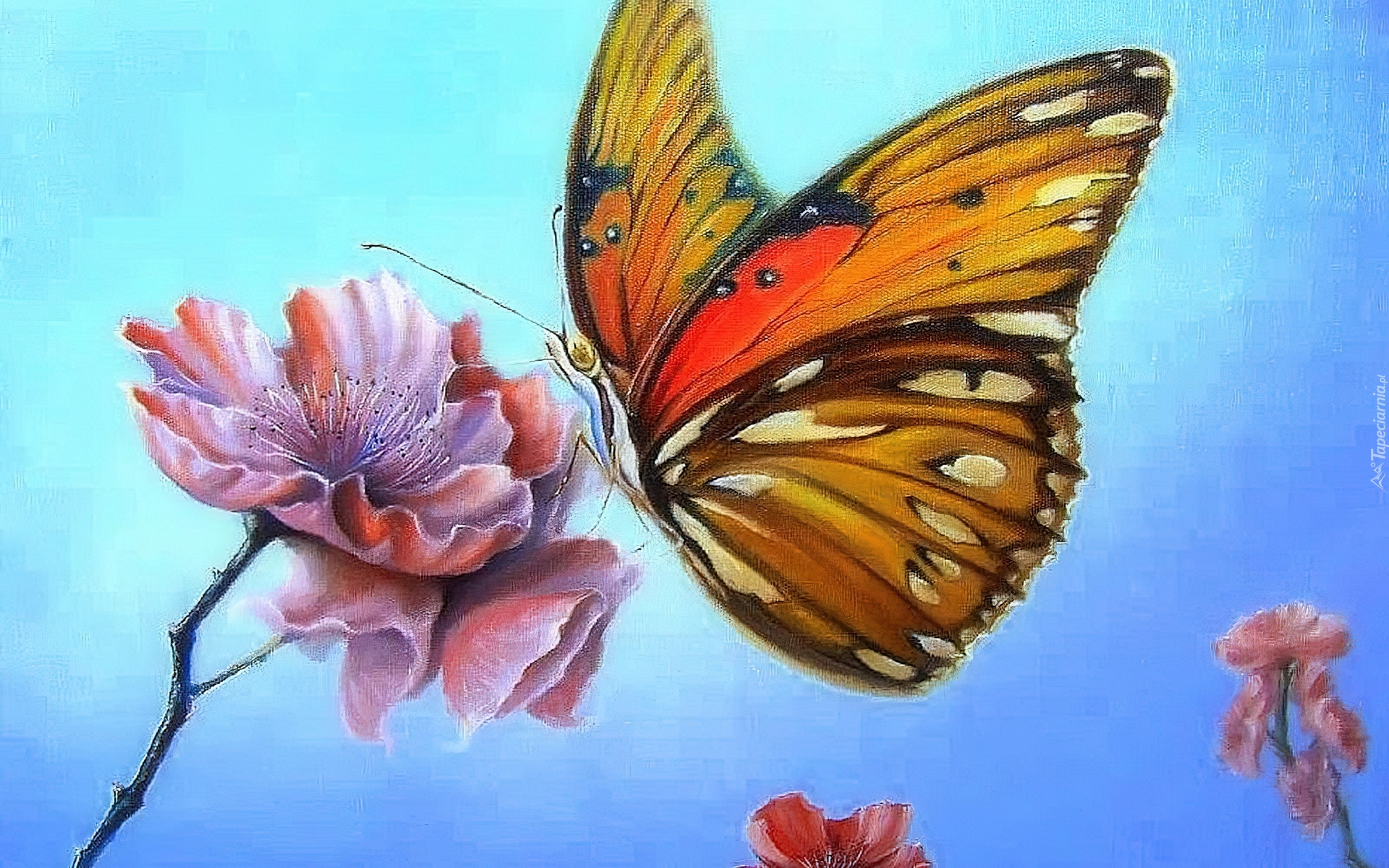 Malarstwo, Obraz, Motyl, Motylek, Kwiat