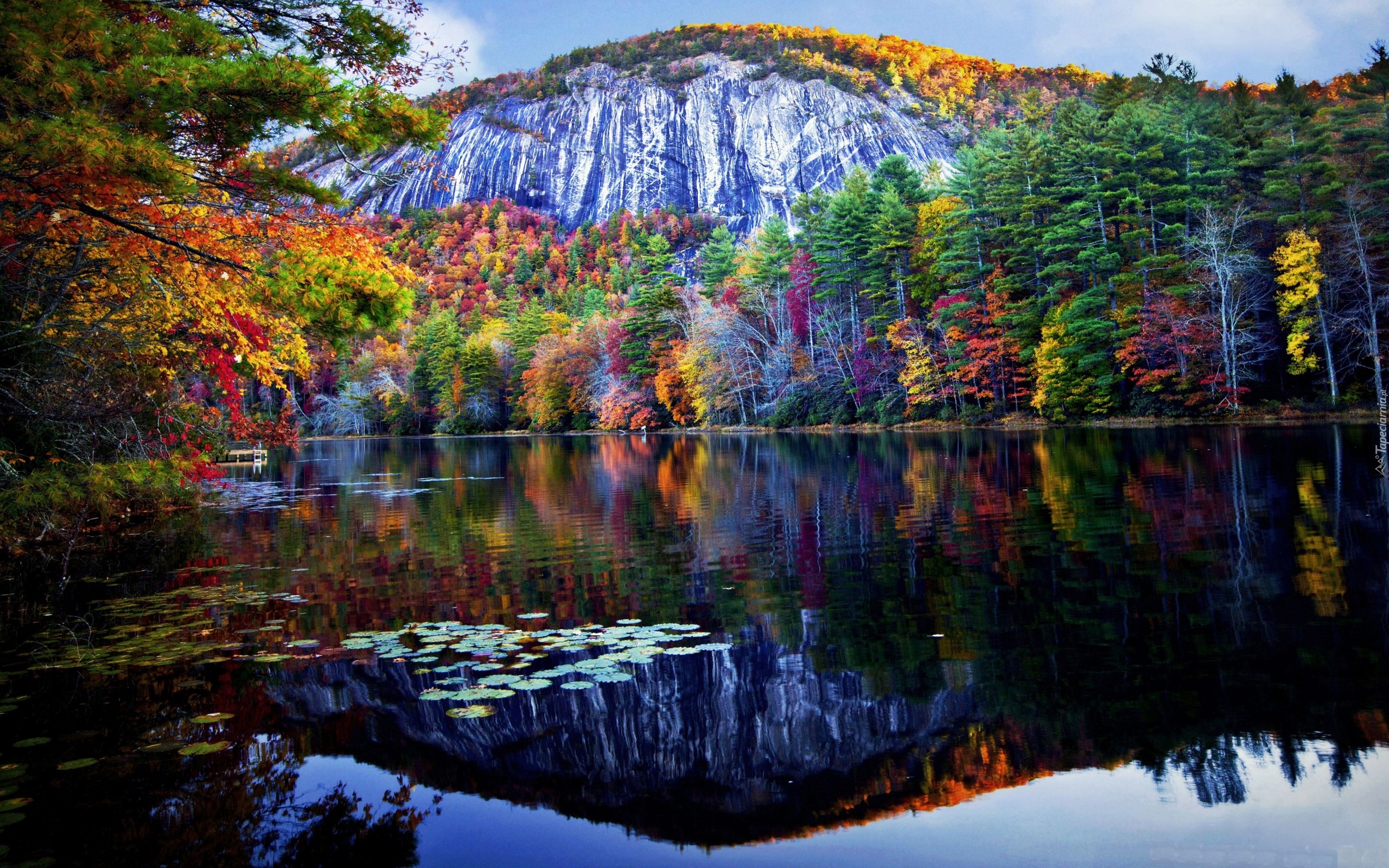Góry, Drzewa, Jezioro, Jesień