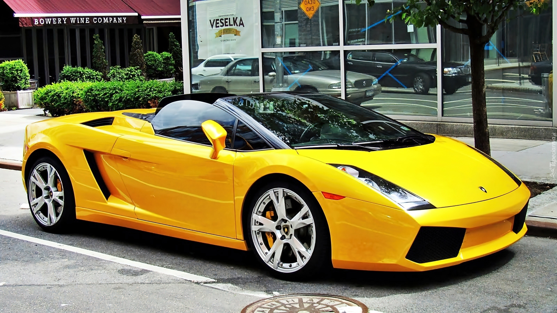 Lamborghini, Gallardo, LP560-4 Spyder