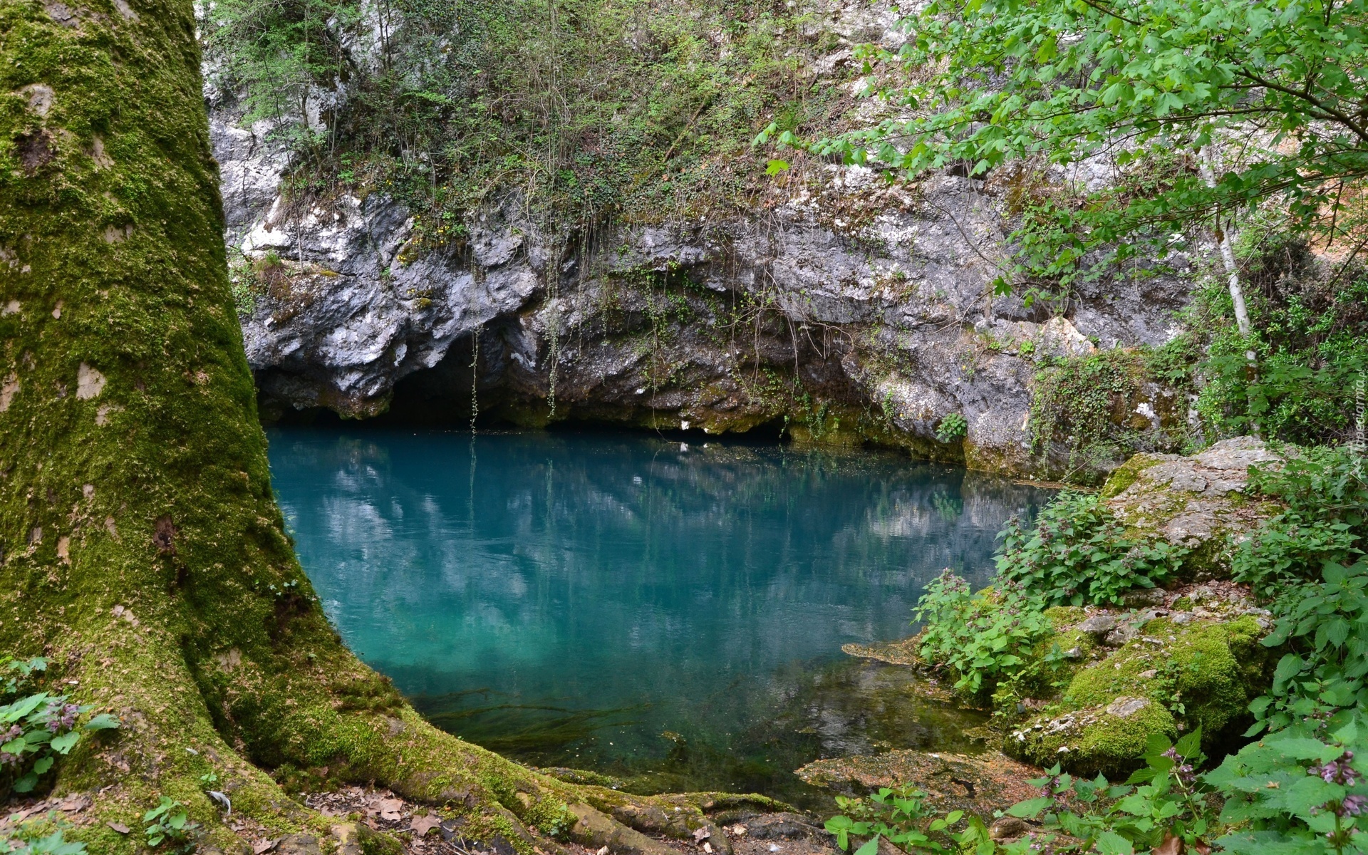 Jezioro, Góry