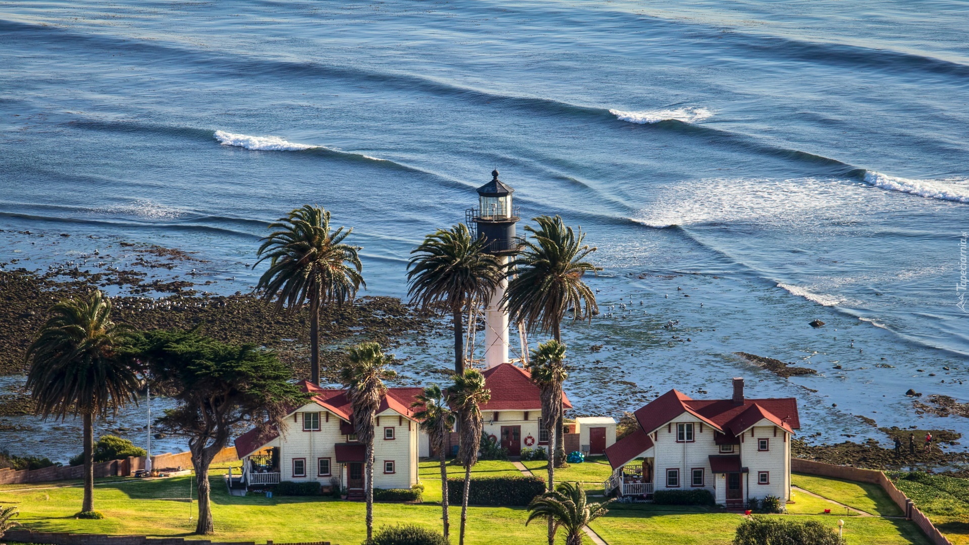 Stany Zjednoczone, San Diego, Ocean, Palmy, Latarnia Morska, Domy