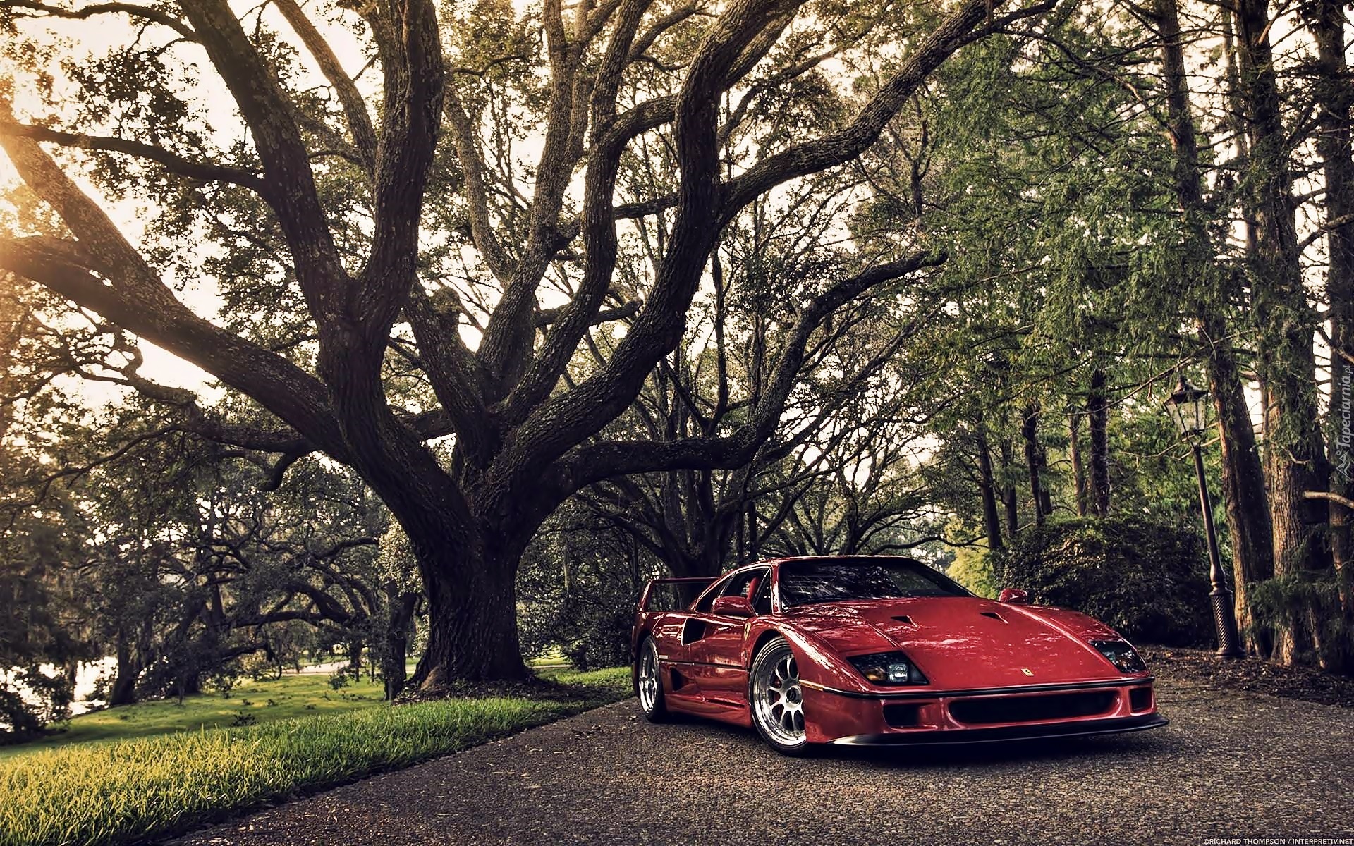 Ferrari F40, Drzewa