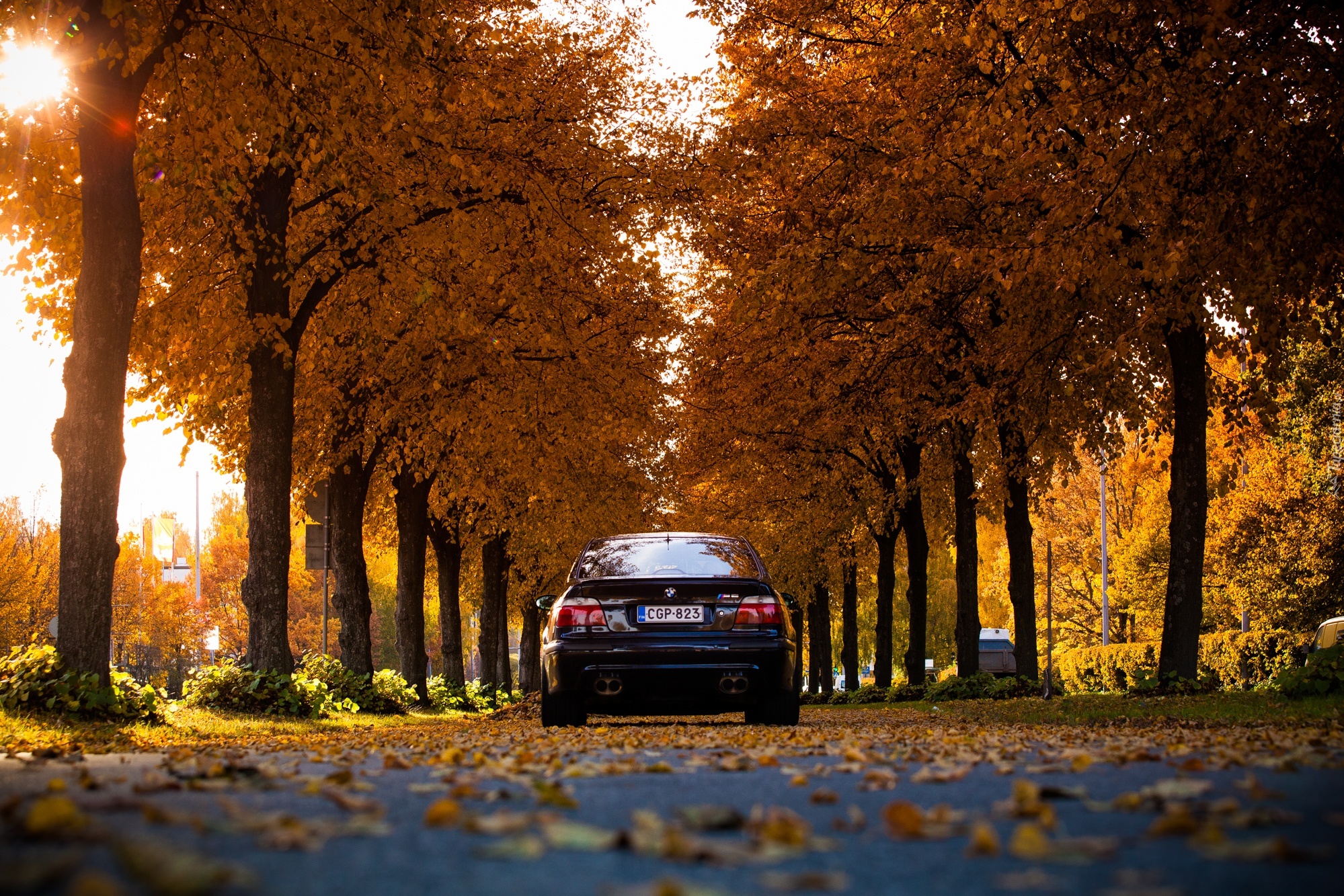 Jesień, Droga, Samochód, BMW, Drzewa