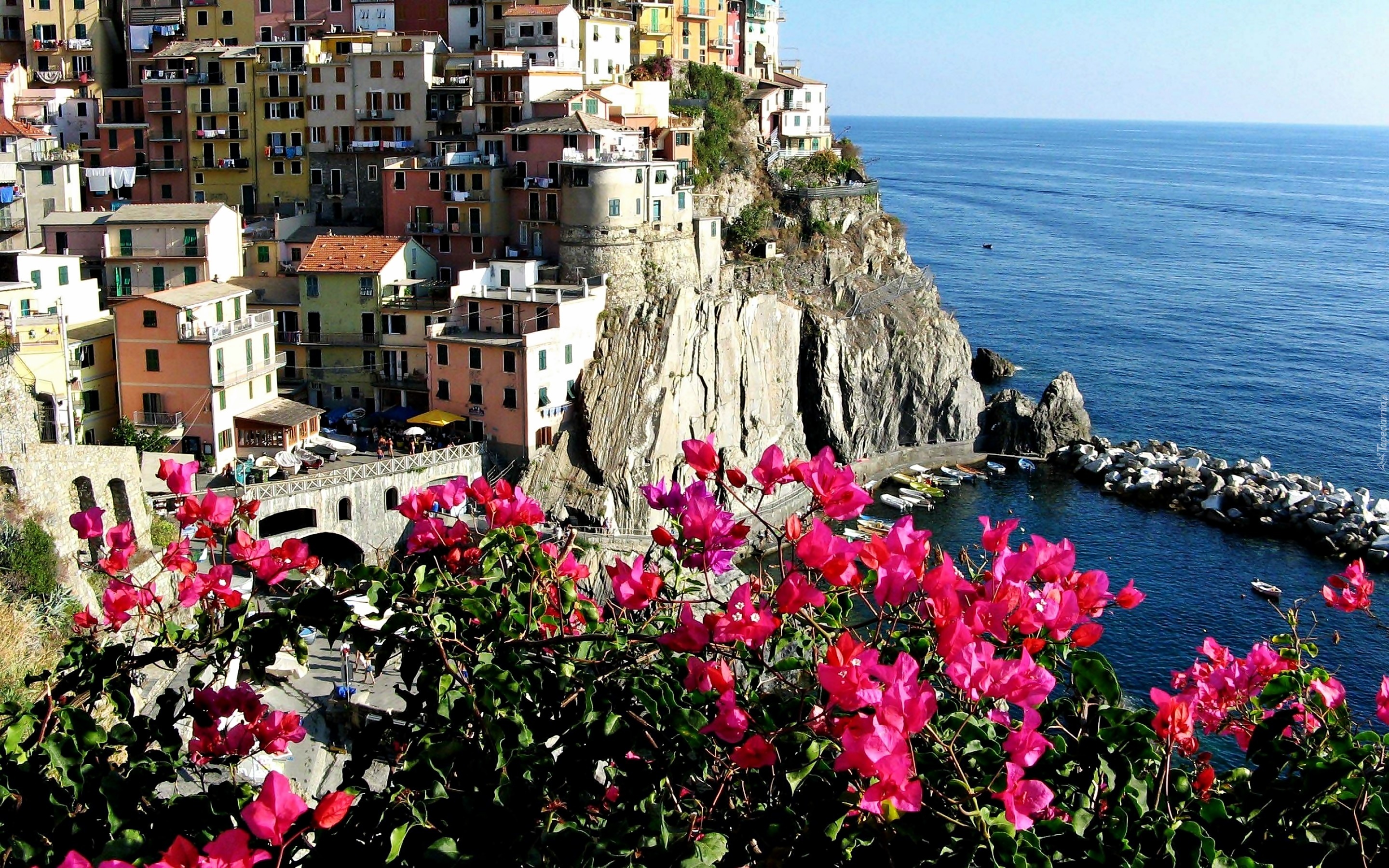 Morze, Miasto, Riomaggiore, Bugenwilla, Liguria