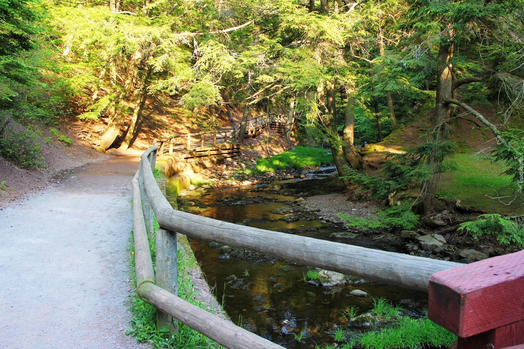 Park, Droga, Rzeczka