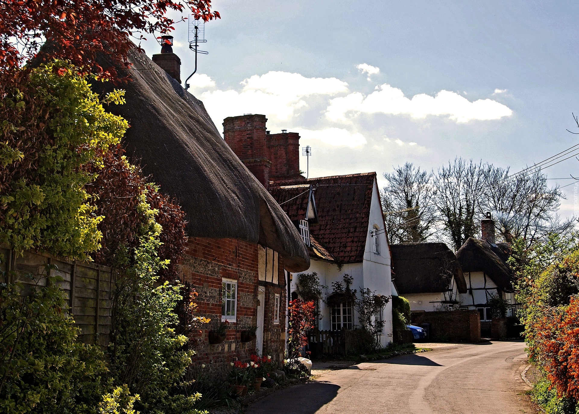 Domy, Droga, Wieś Nether Wallop, Anglia