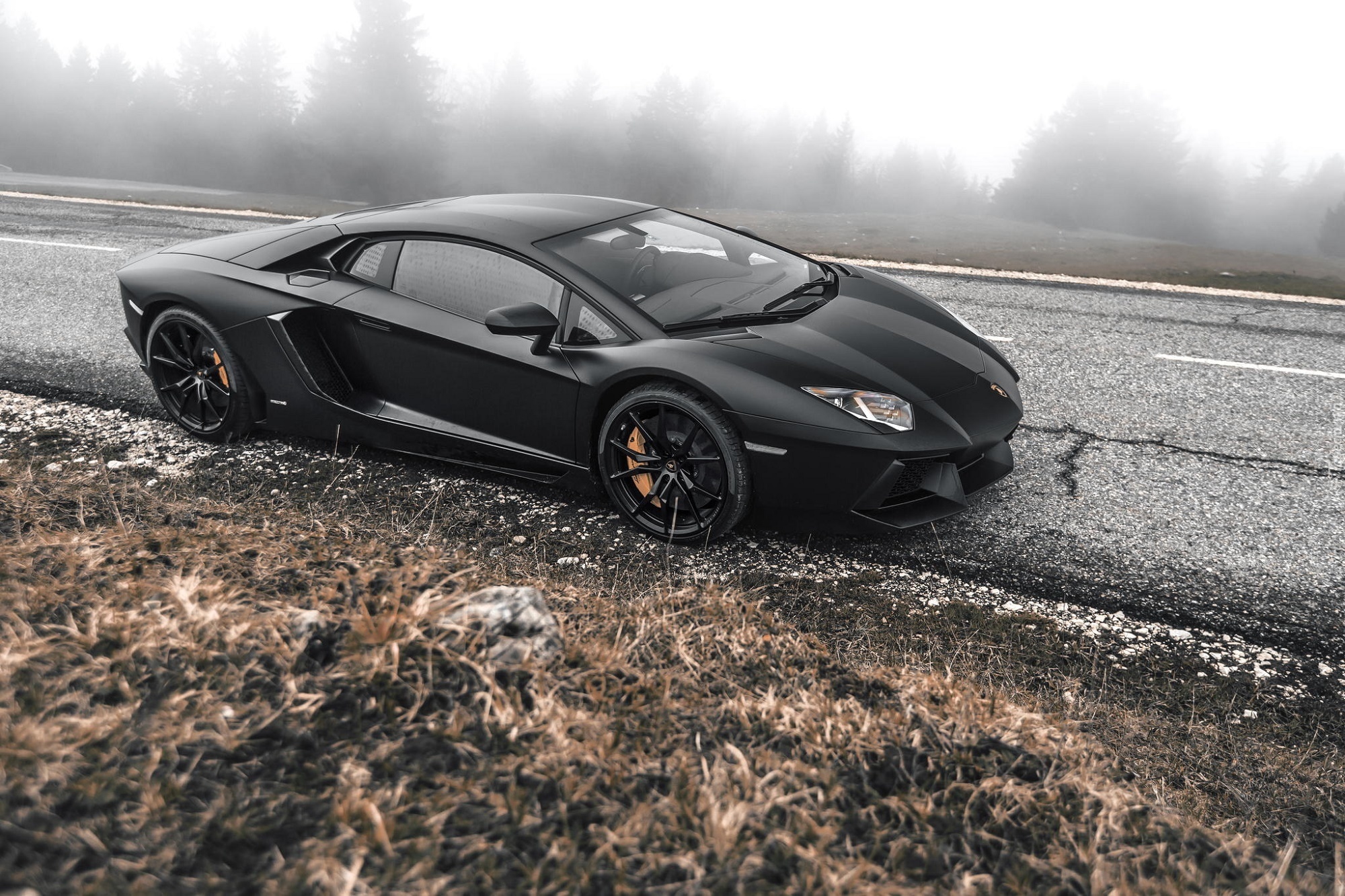 Lamborghini, Adventador, Droga, Drzewa, Mgła