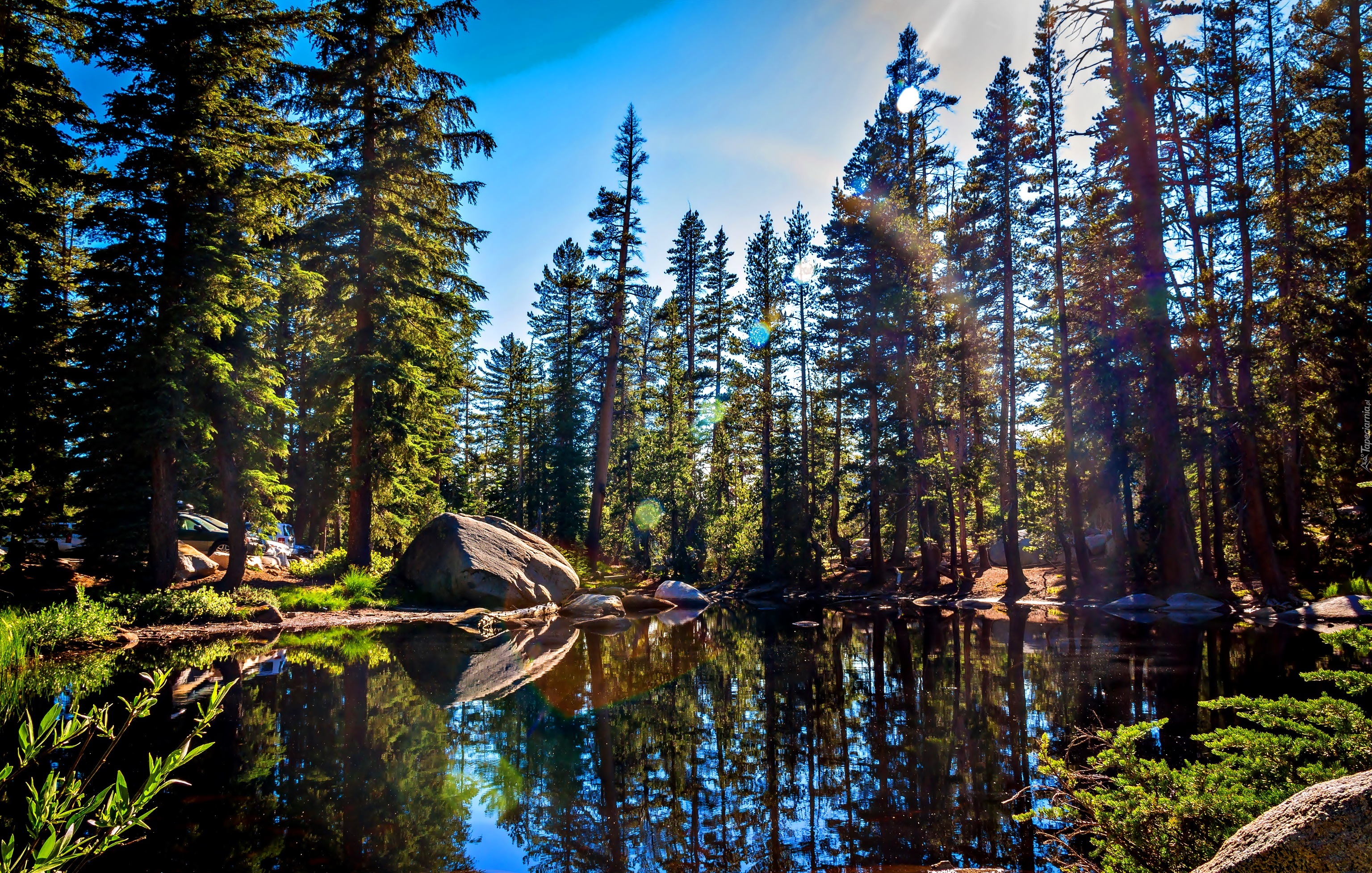 Stany Zjednoczone, Stan Kalifornia, Park Narodowy Yosemite, Góry, Lasy, Jezioro, Kamienie