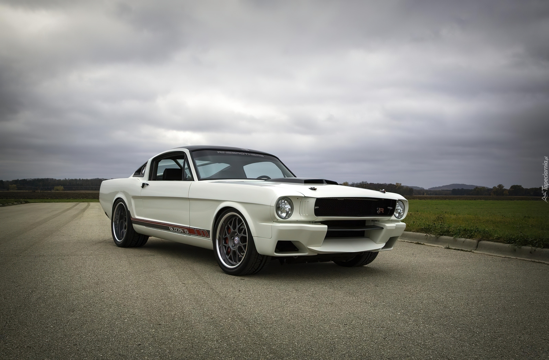 Ford Mustang Blizzard