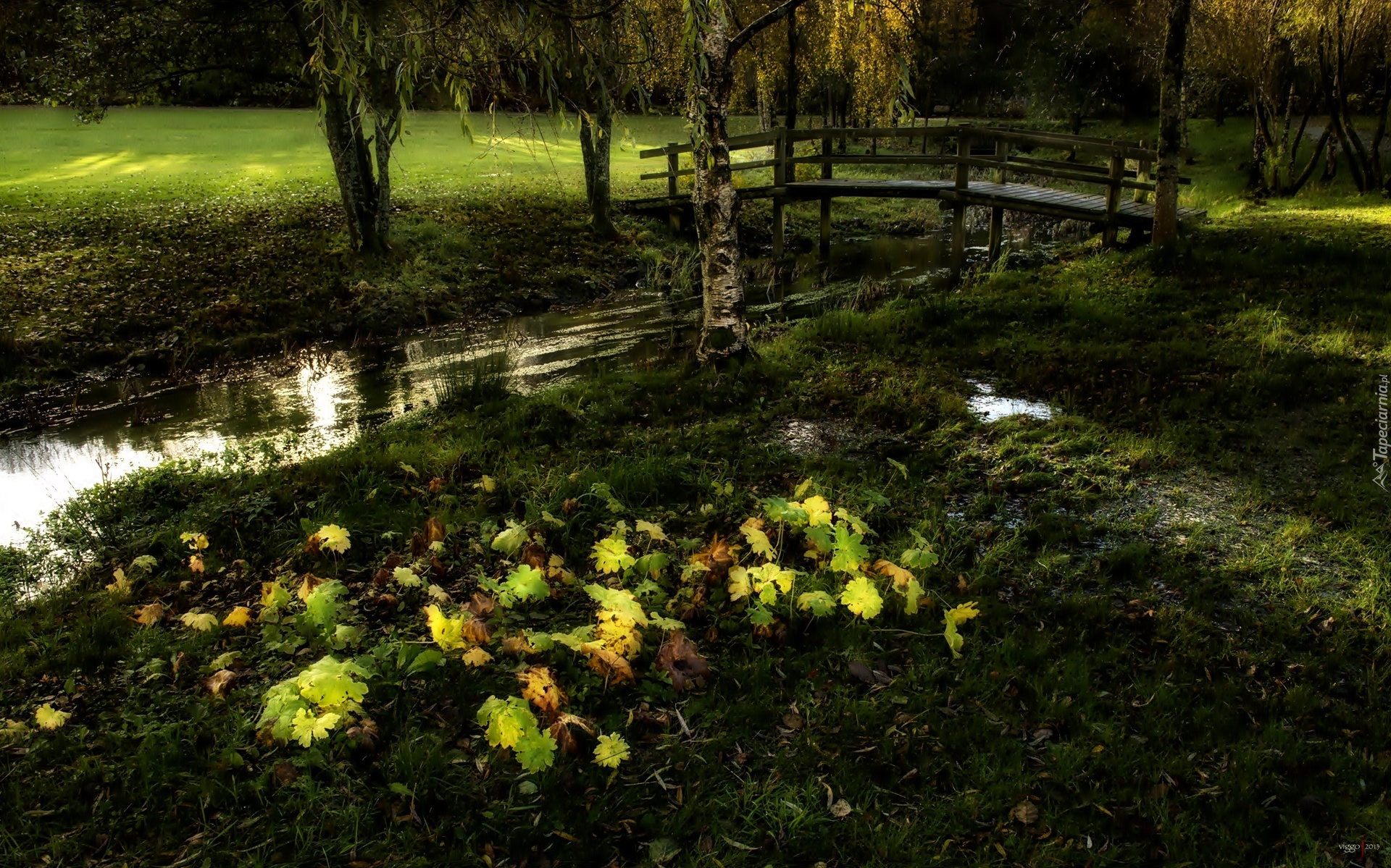 Park, Rzeczka, Mostek