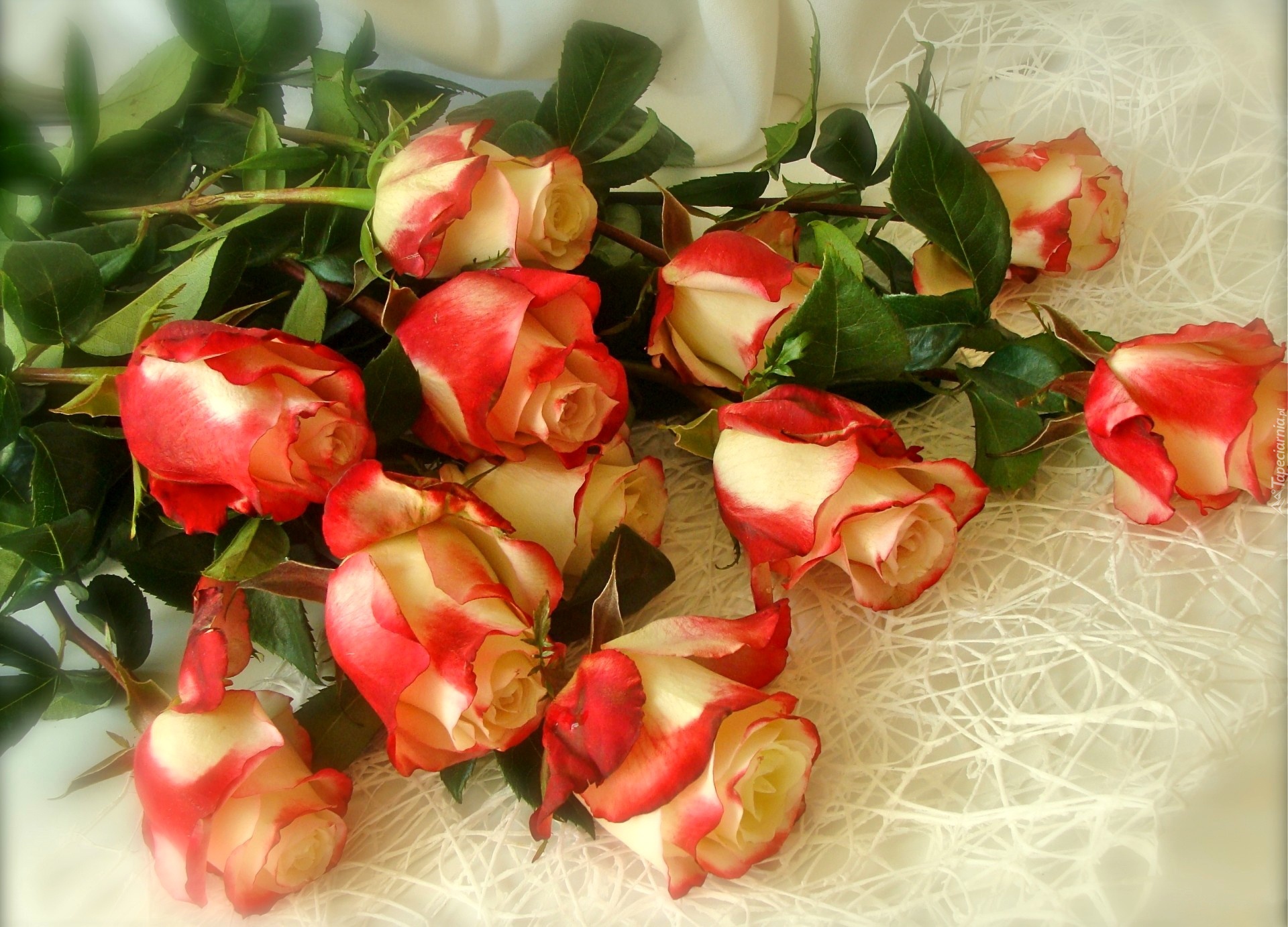 Roze, Bukiet
