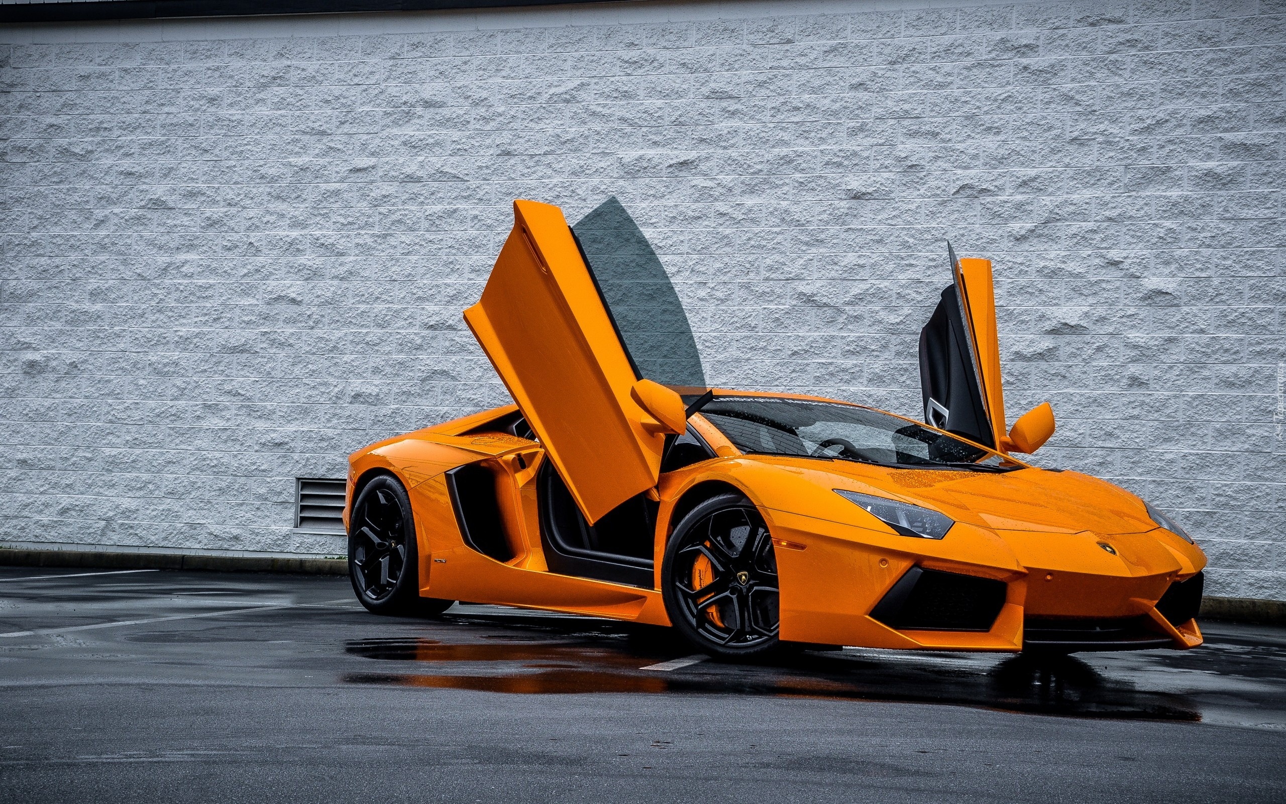 Pomarańczowe, Lamborghini Aventador, Deszcz