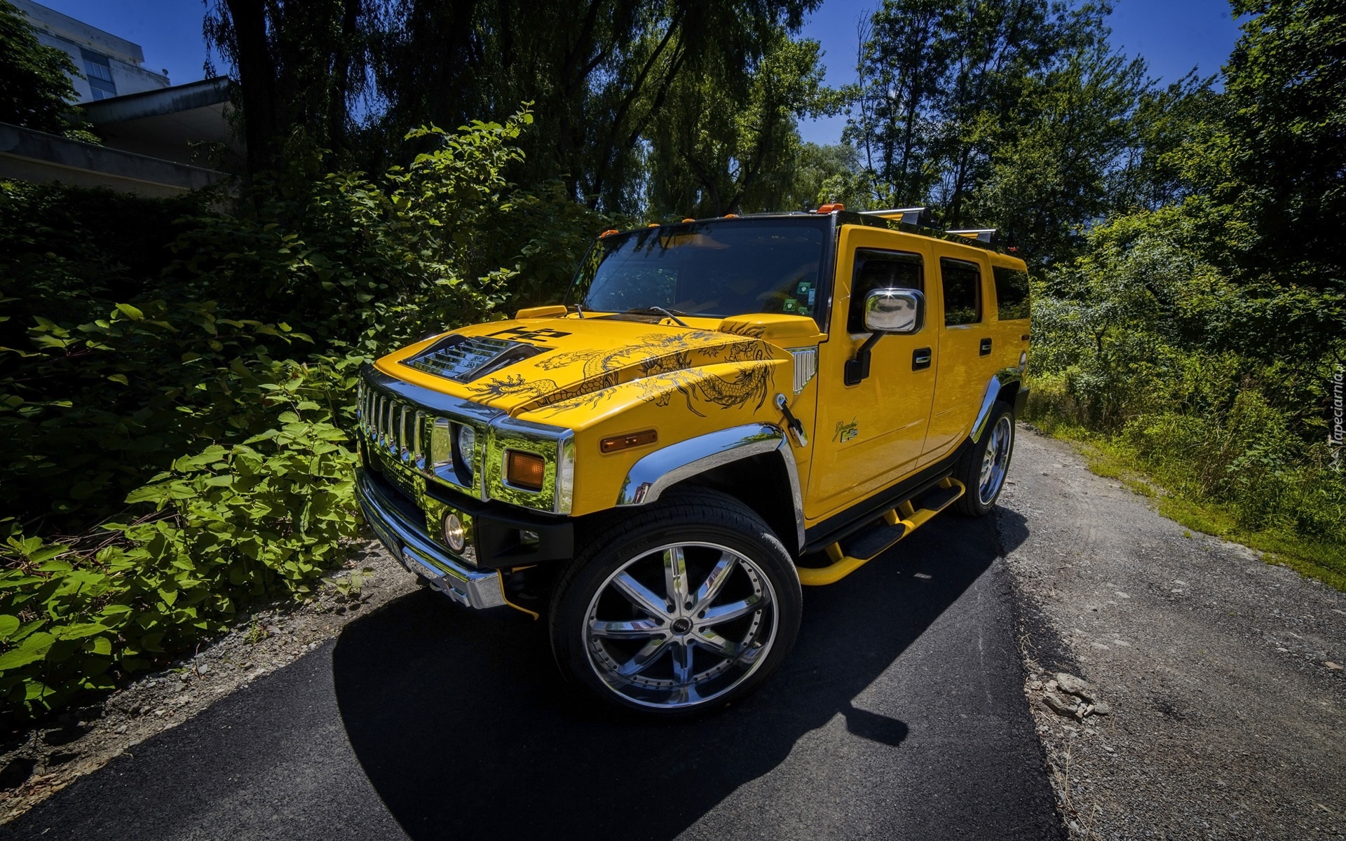 Żółty Hummer H2, Droga, Drzewa