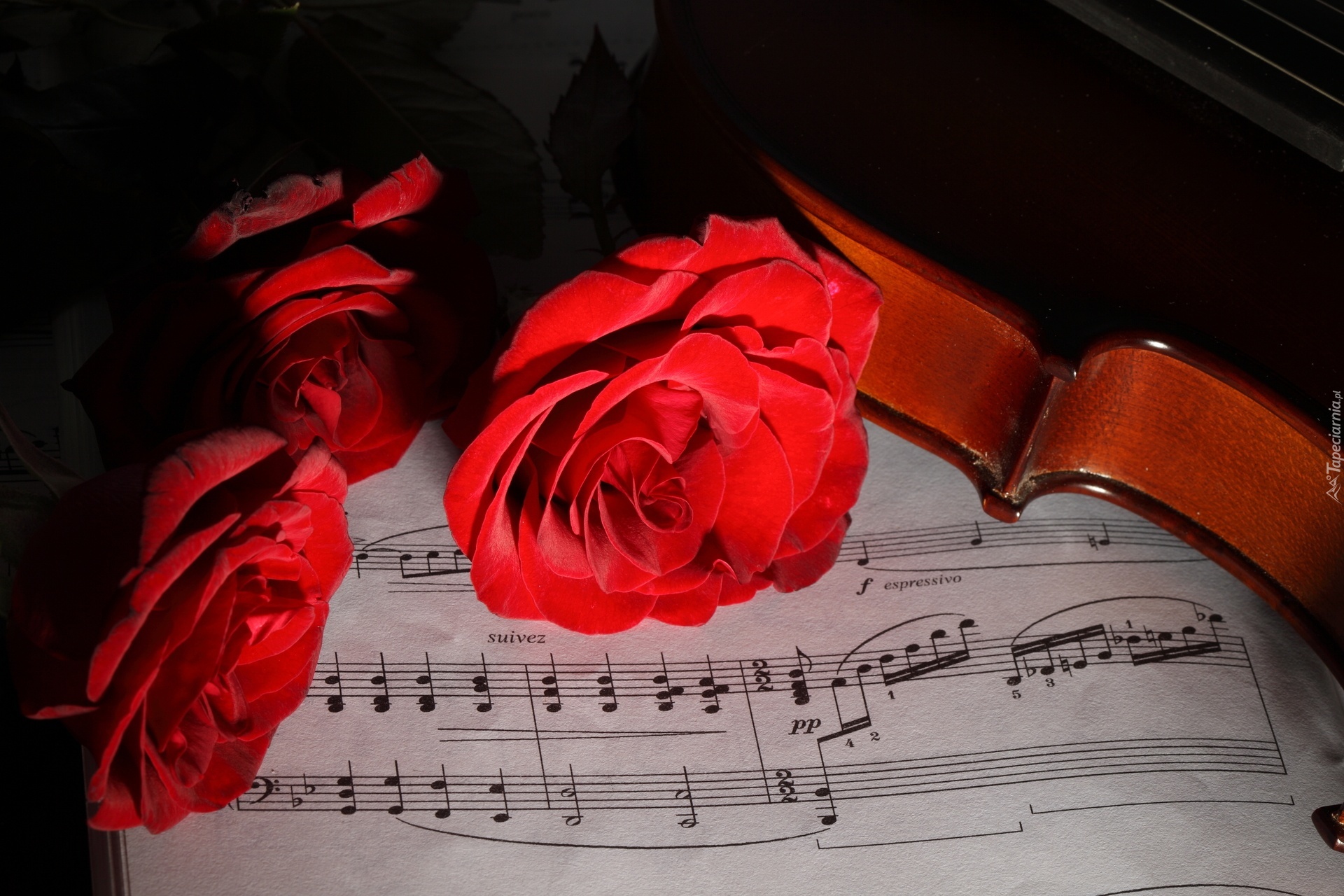 Давай прославь душа моя. Музыкальные инструменты и цветы. МСЦ ЕХБ МХО. Ноты и цветы. Музыкальный вечер.