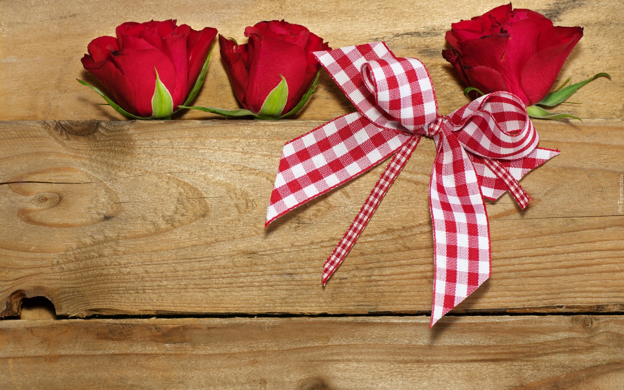 Kwiaty, Roze, Wstazka