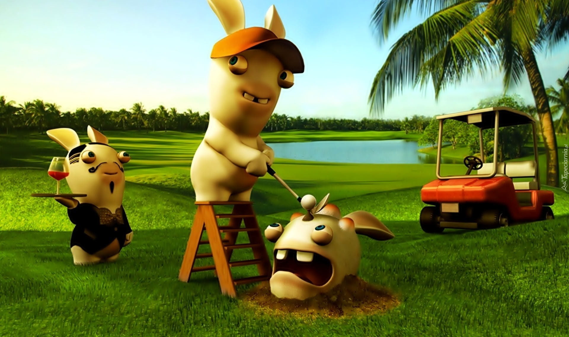 Gra, Rayman Raving Rabbids