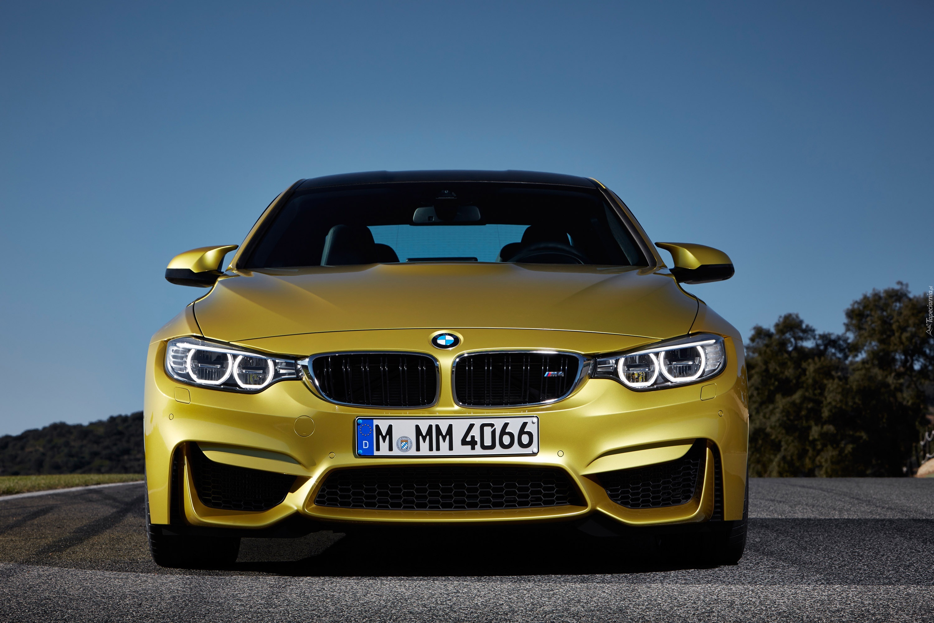 BMW M4, Ringi, Grill