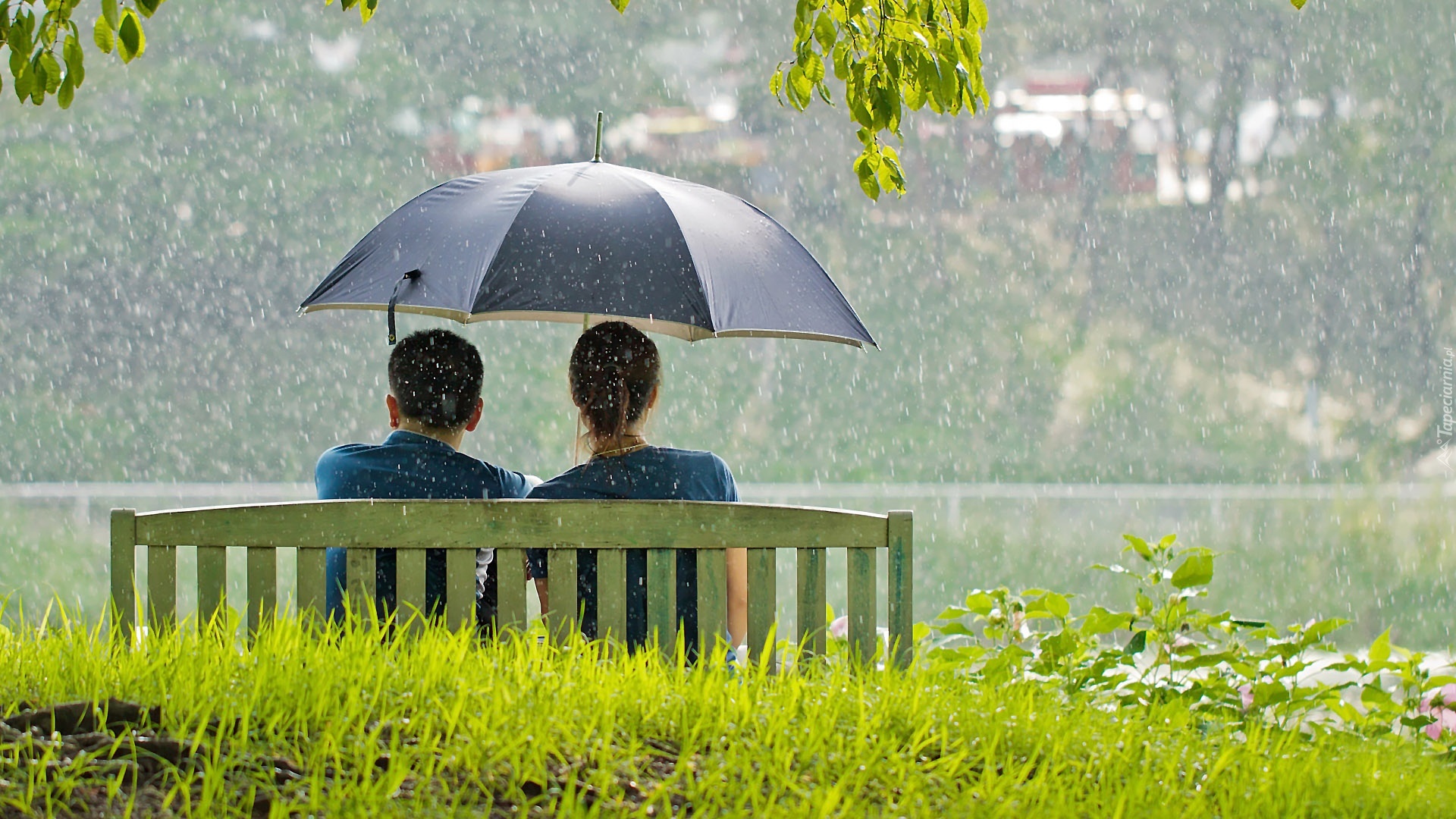 Park, Deszcz, Ławka, Para, Parasol