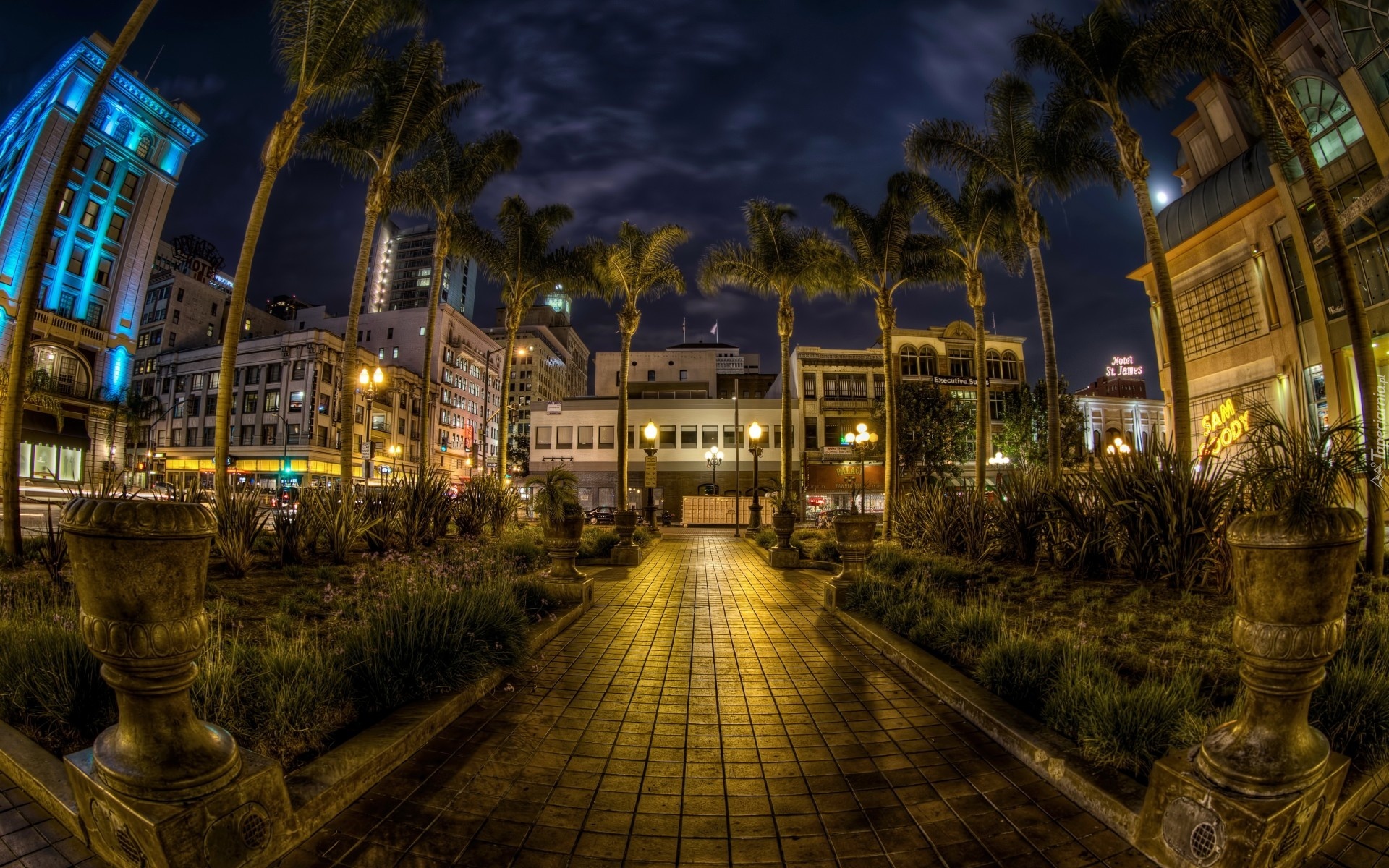 Miasto Nocą, San Diego