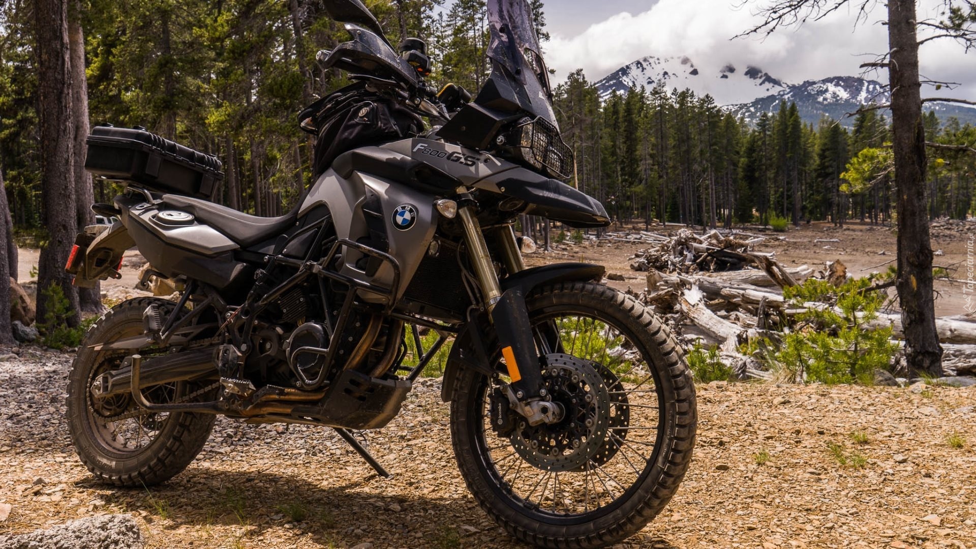 BMW, F800GS, Las, Góry