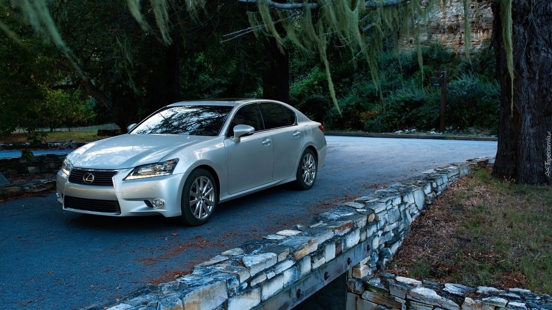 Lexus, GS 350, Drzewa