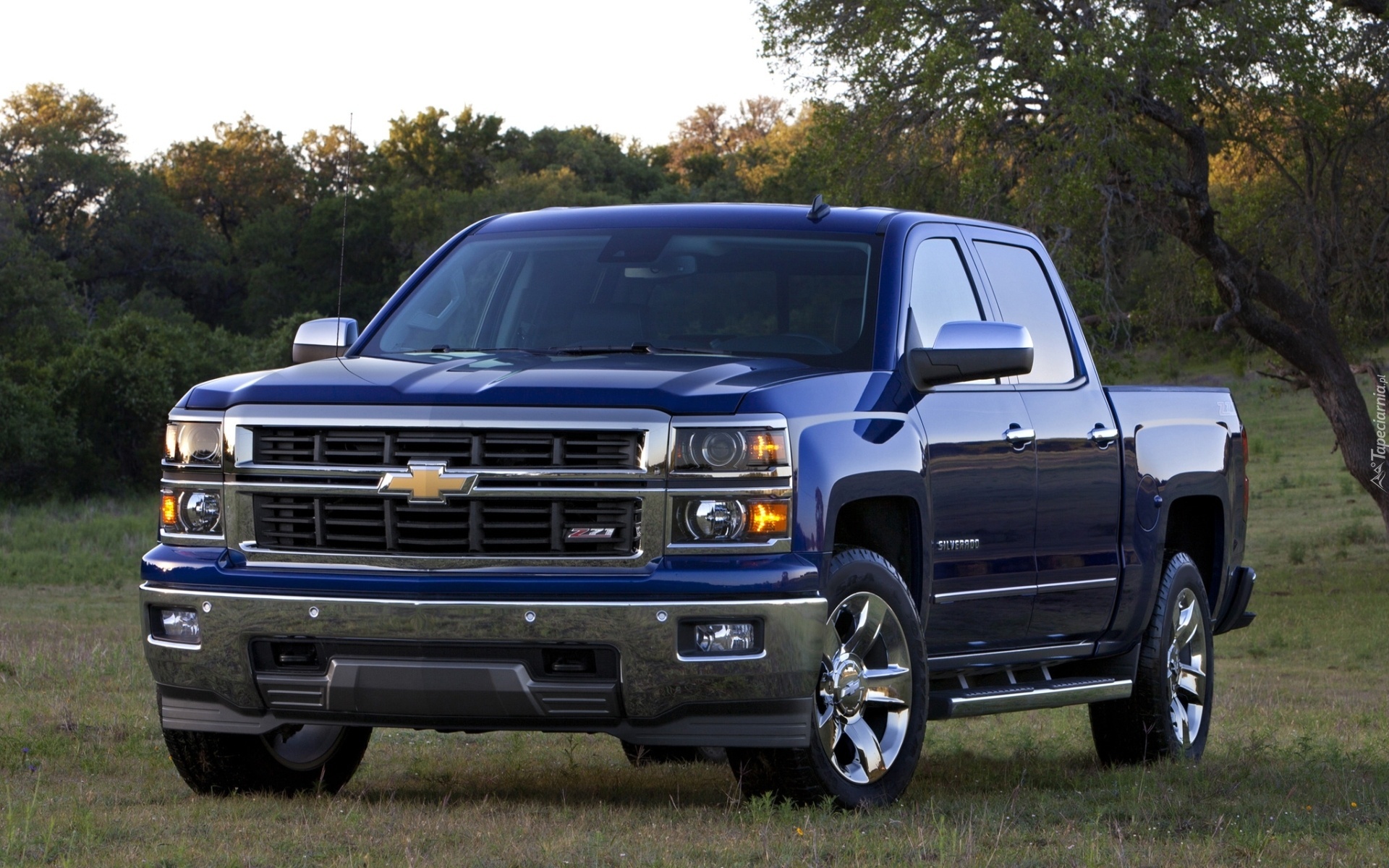 Chevrolet, Silverado, ZZ1