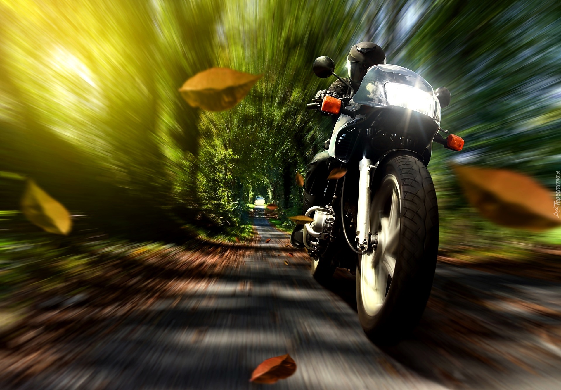 Motocykl, Droga, Pęd