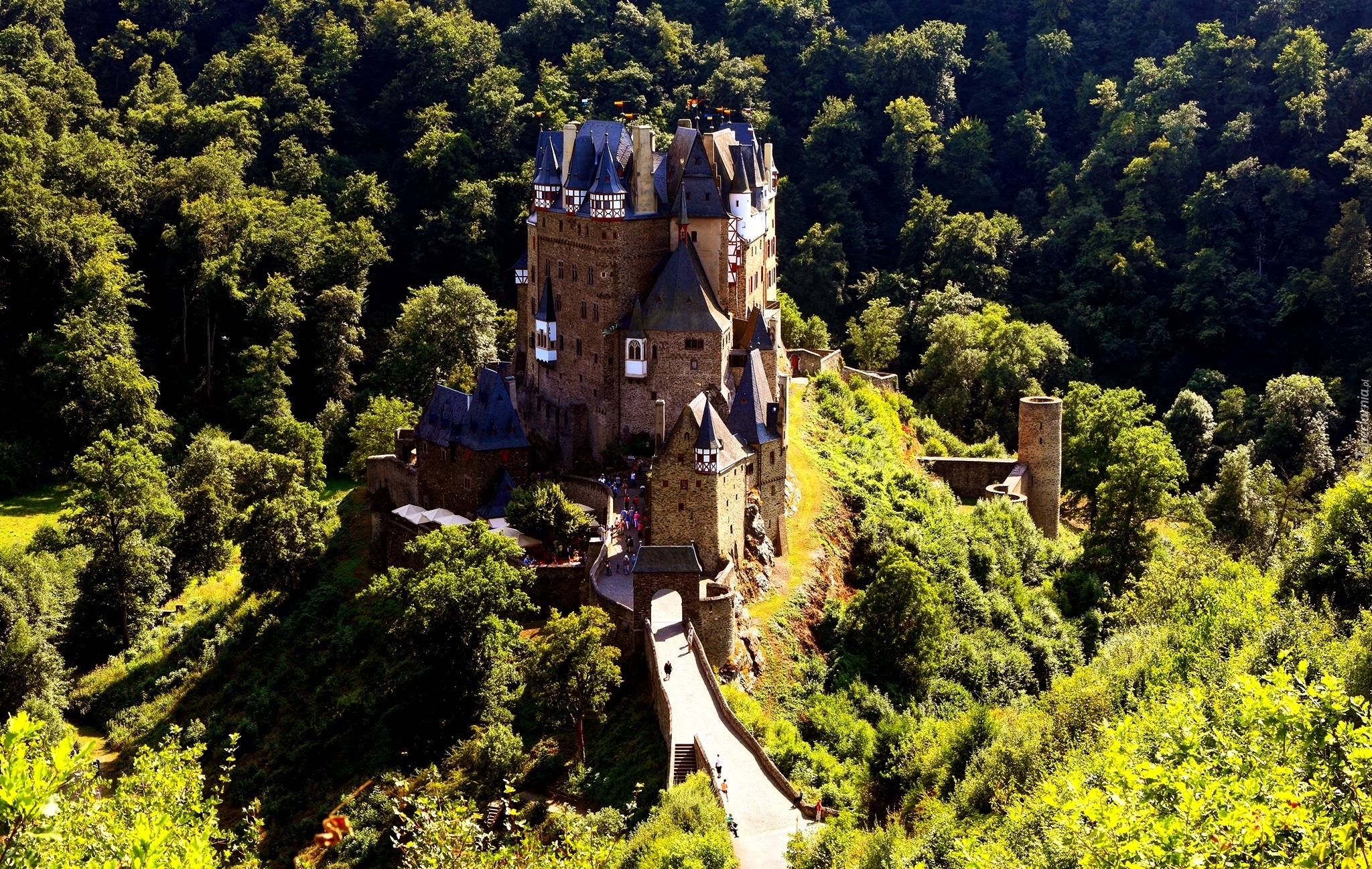 Zamek Eltz, Niemcy