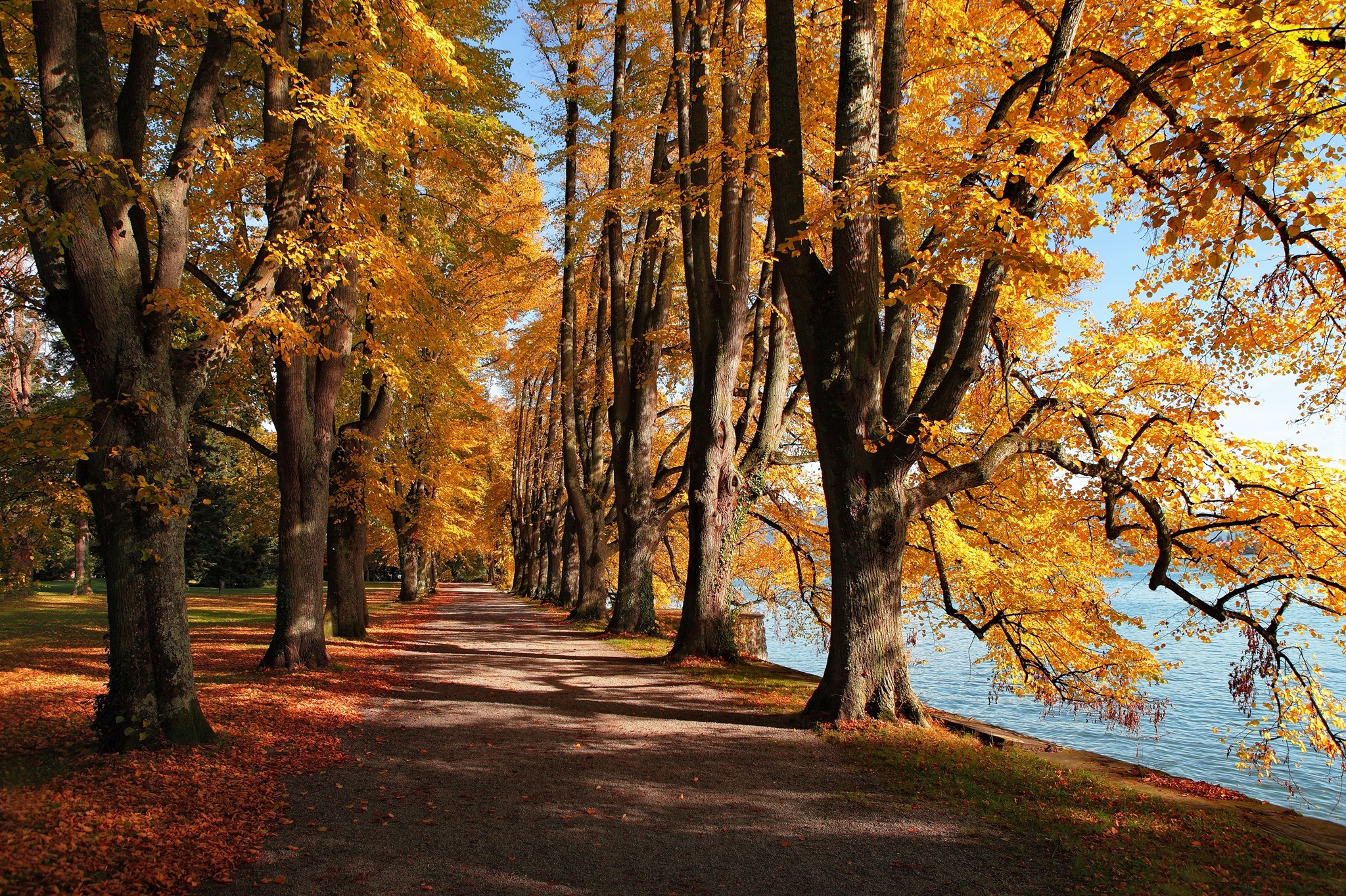 Jesień, Park