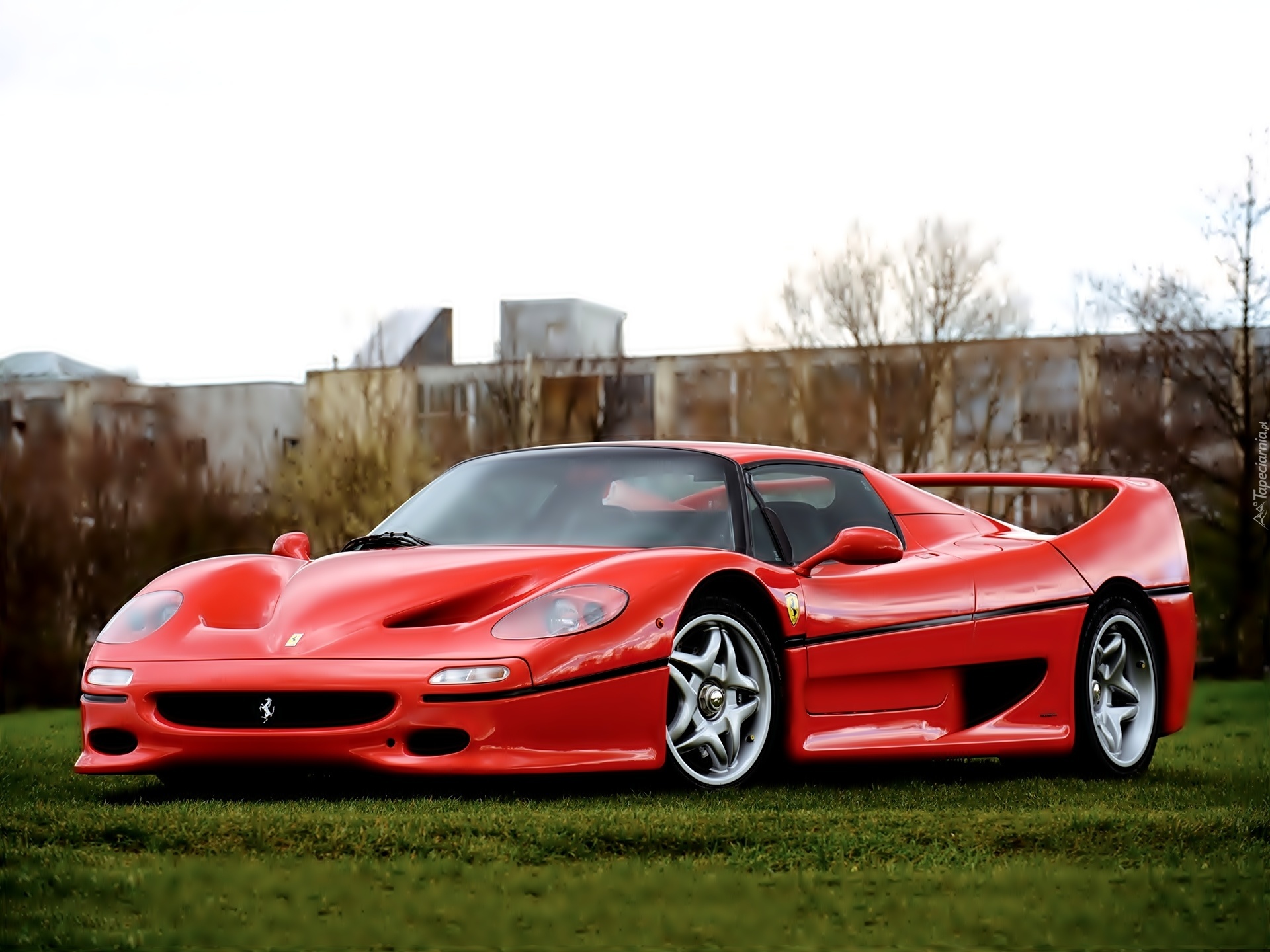 Ferrari, F50