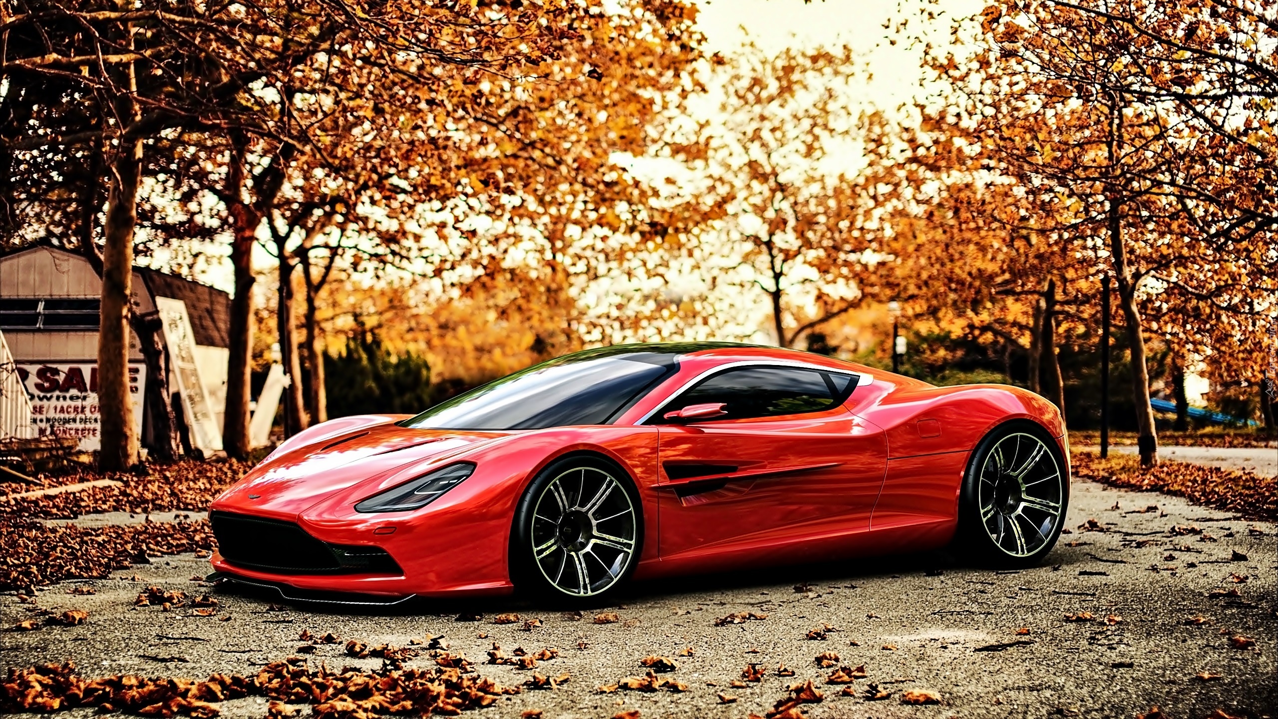 Aston Martin, DBC, Czerwony, Drzewa, Droga, Jesień