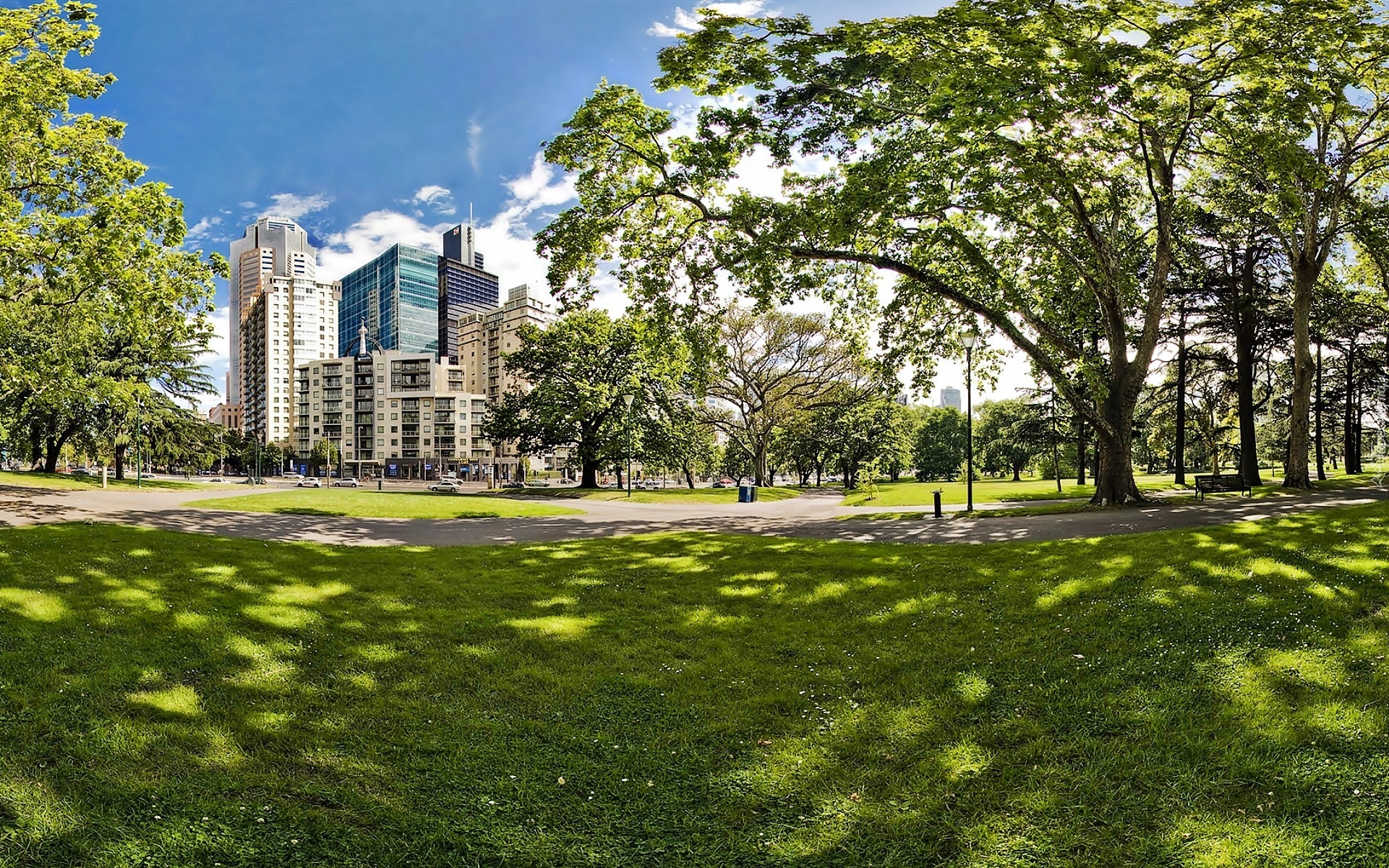 Drapacze, Chmur, Park, Carlton, Gardens, Przebijające, Światło, 
Melbourne