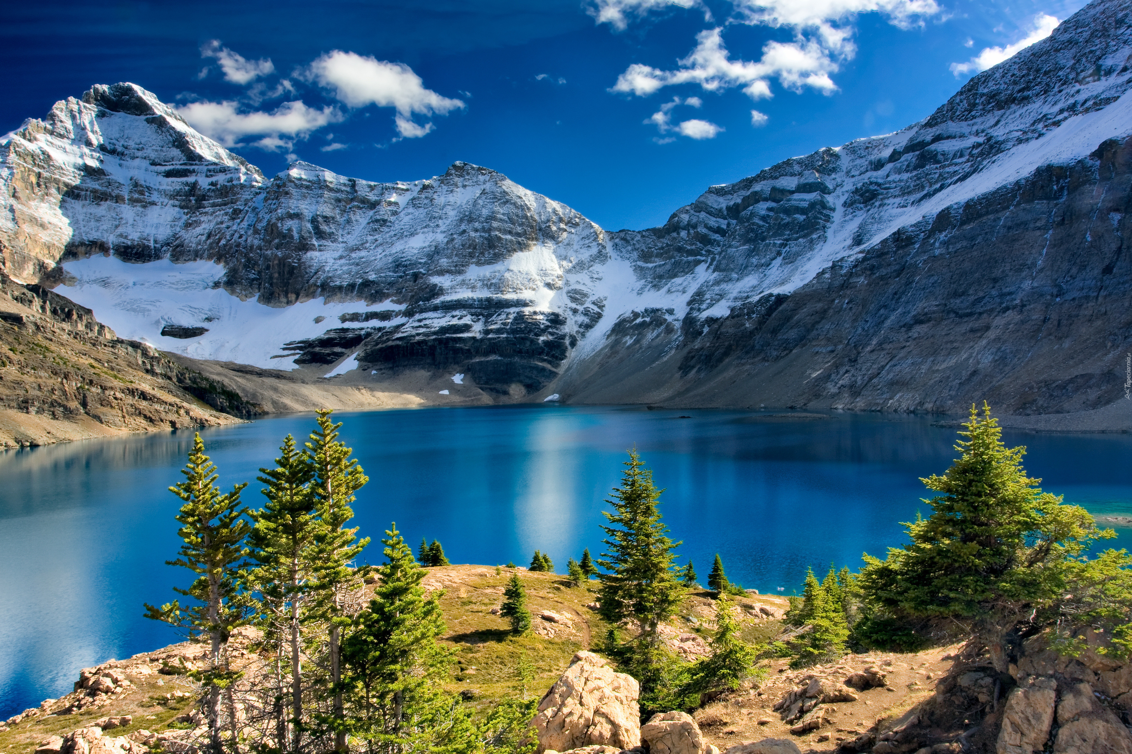 Kanada, Park Narodowy Yoho, Góry, Jezioro McArthur Lake, Świerki, Światło, Cień