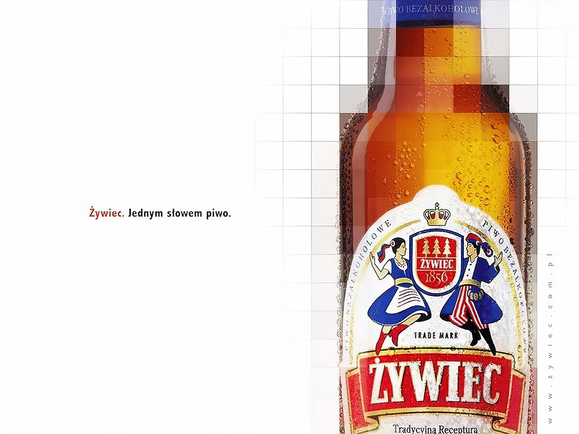 Piwo, Piwo Żywiec