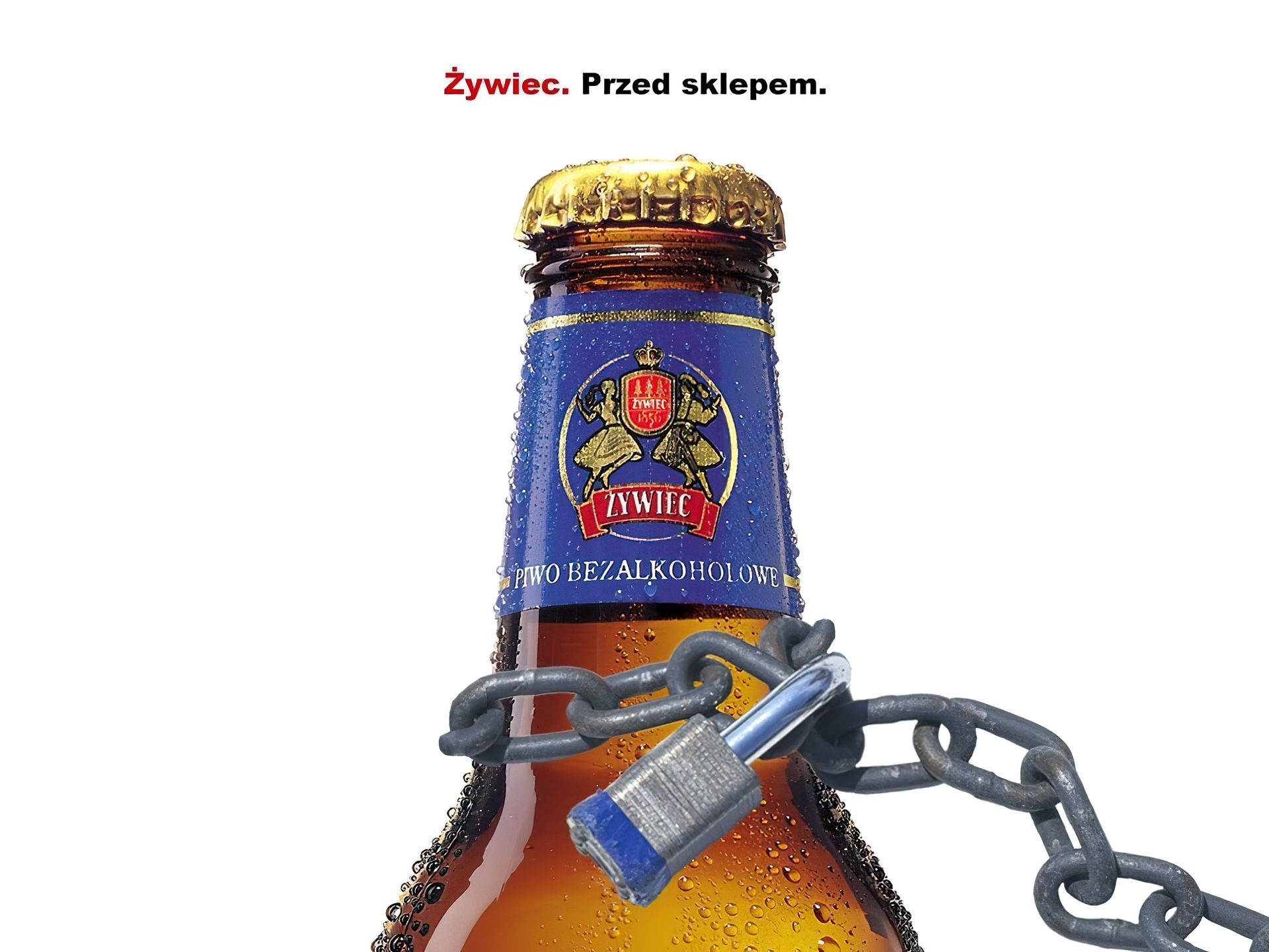 Piwo, Piwo Żywiec, łańcuch