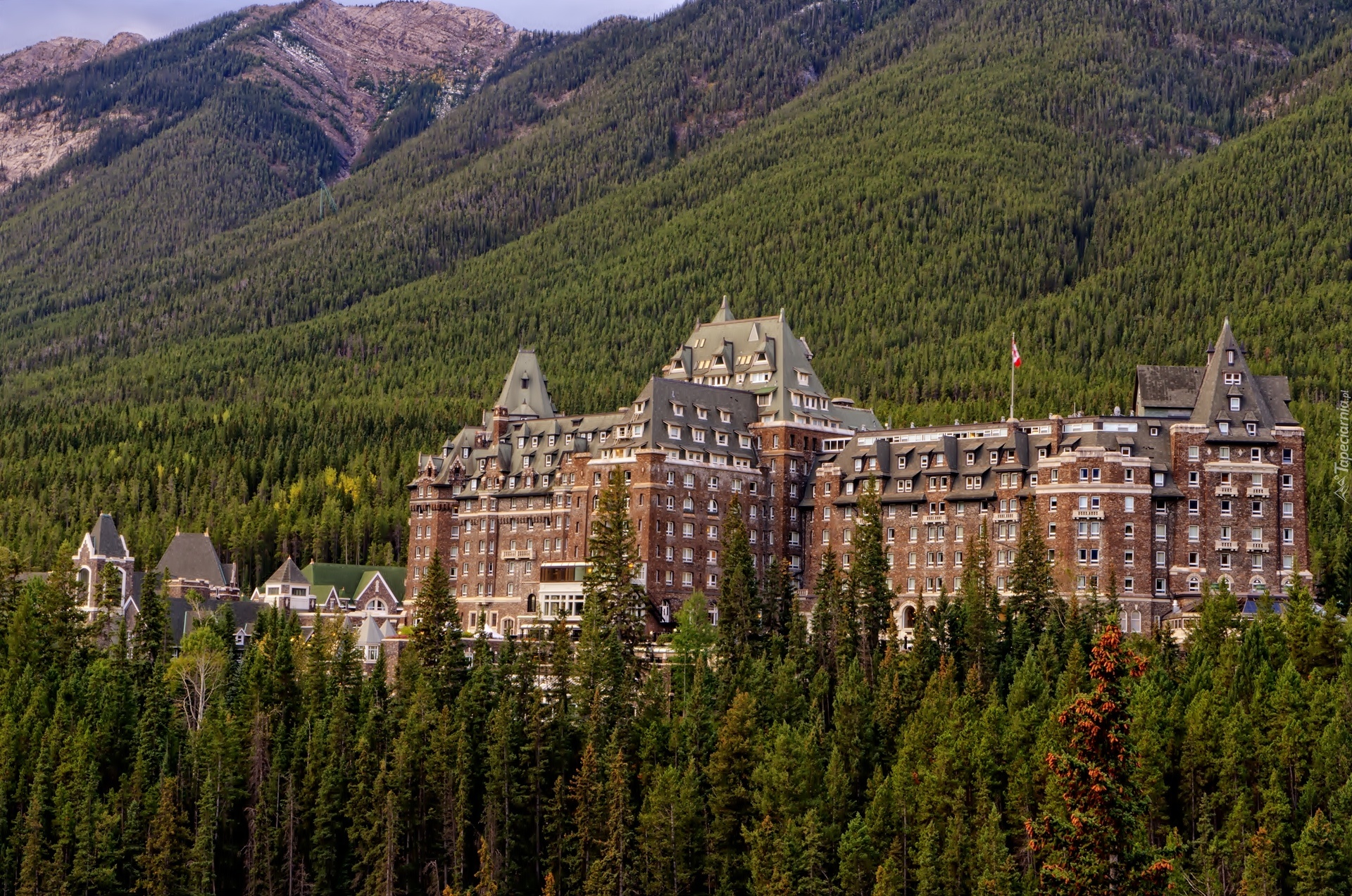 Góry, Fairmont Banff Springs, Hotel, Świerki