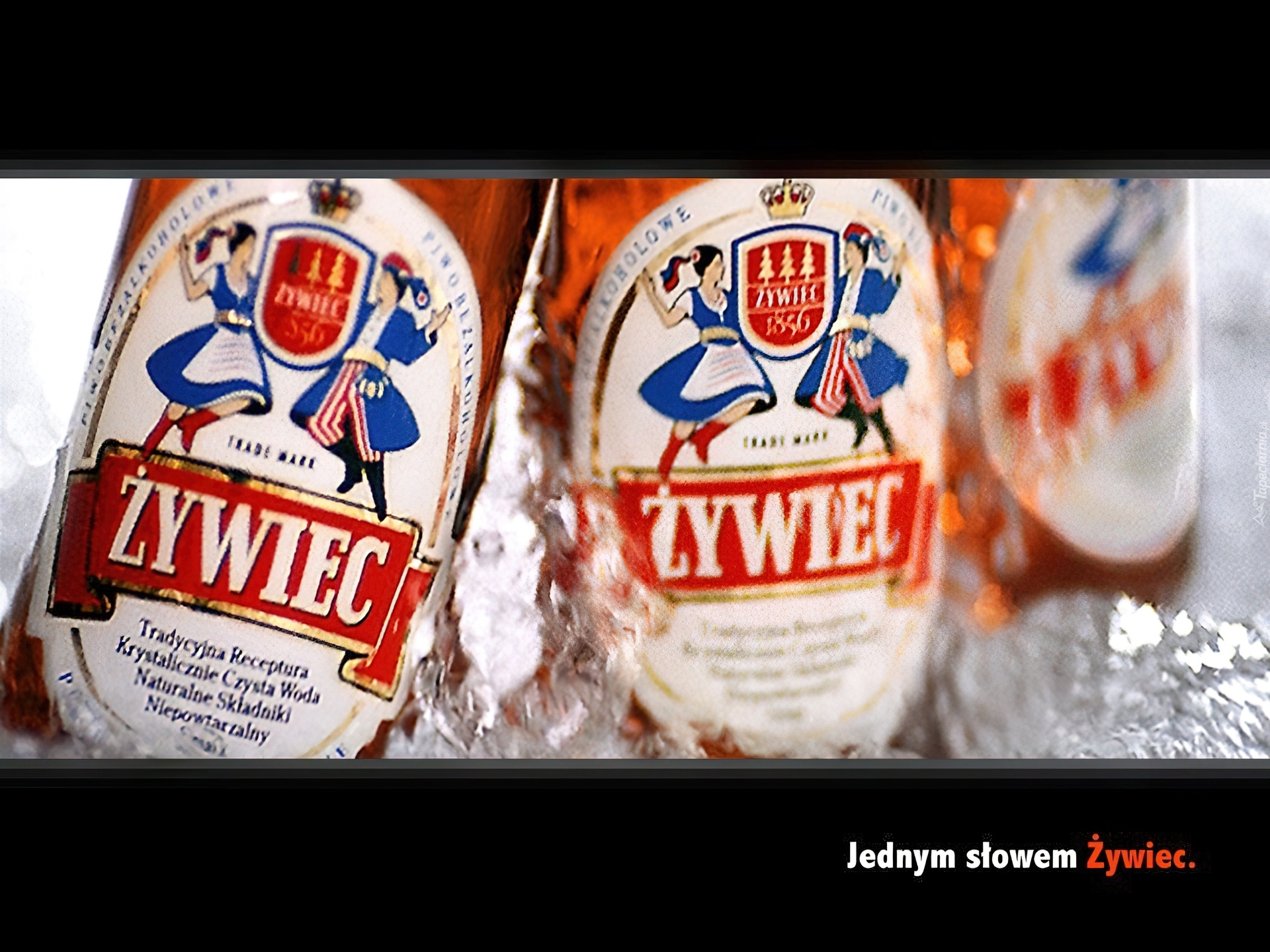 Piwo, Piwo Żywiec, butelki