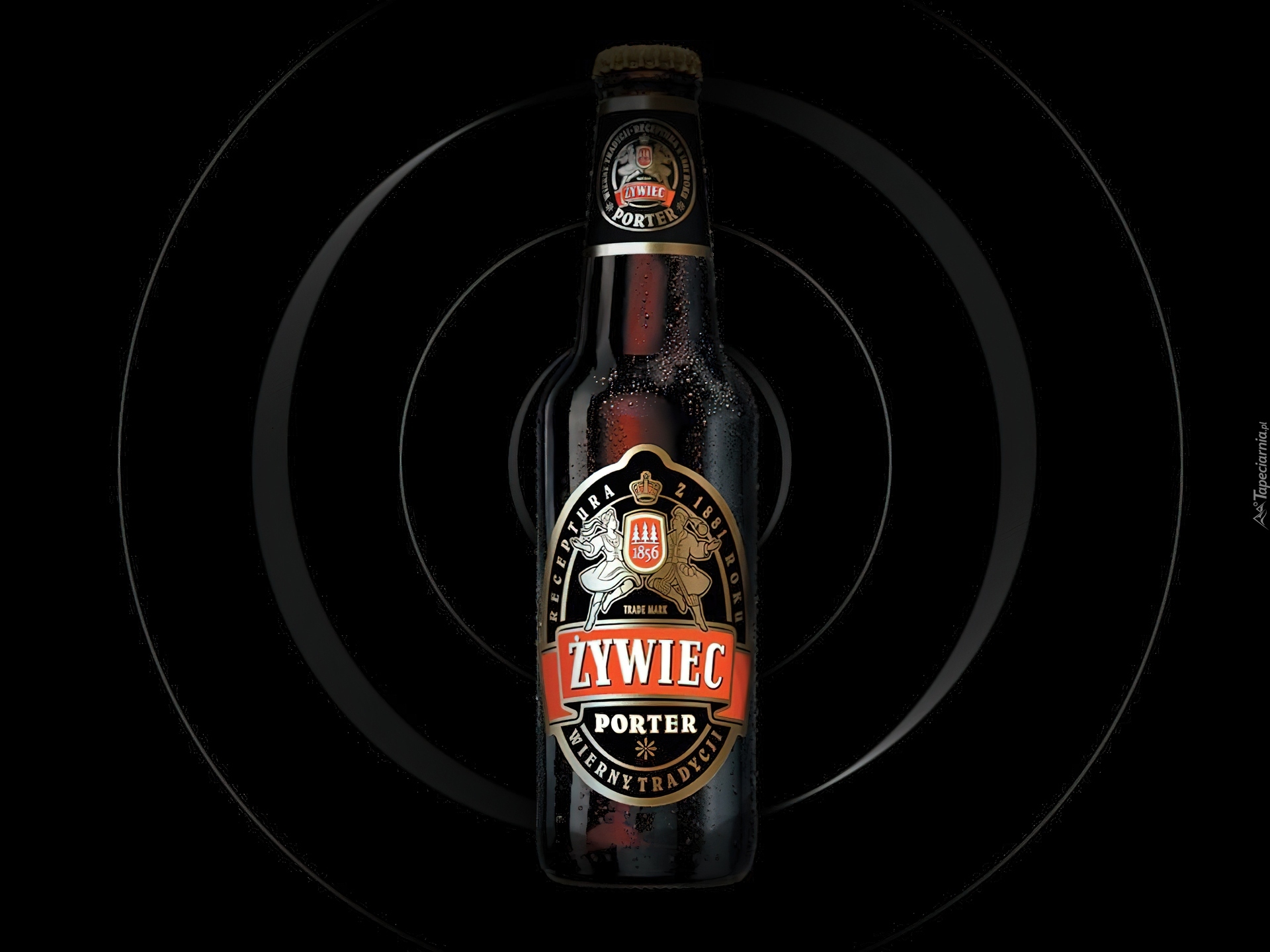 Piwo, Piwo Żywiec, porter