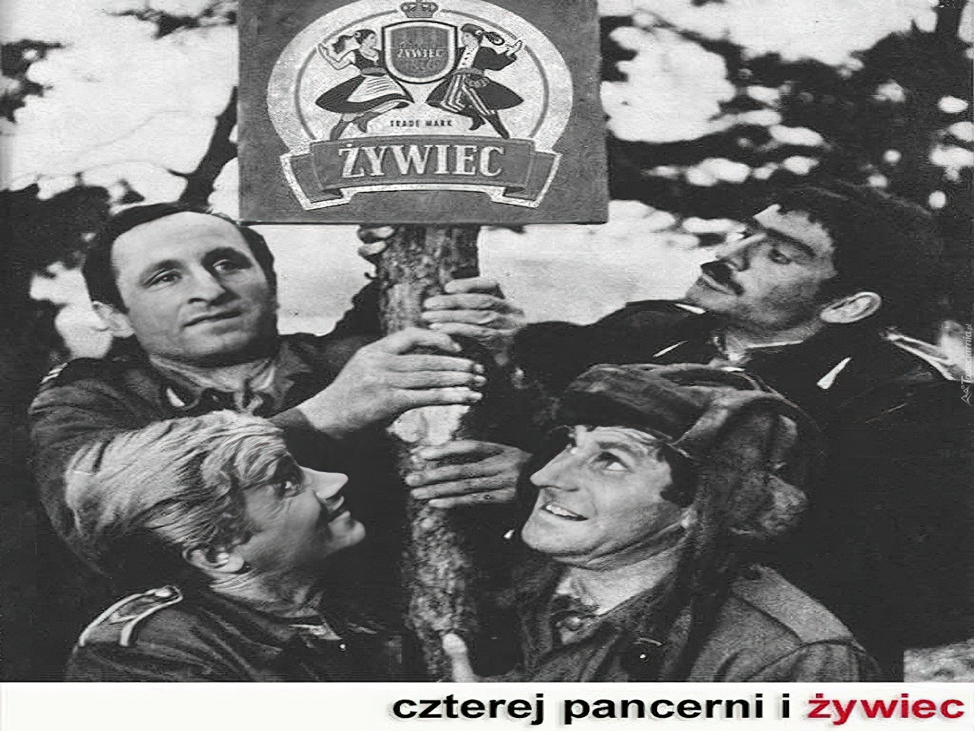 Piwo, Piwo Żywiec, czterej pancerni