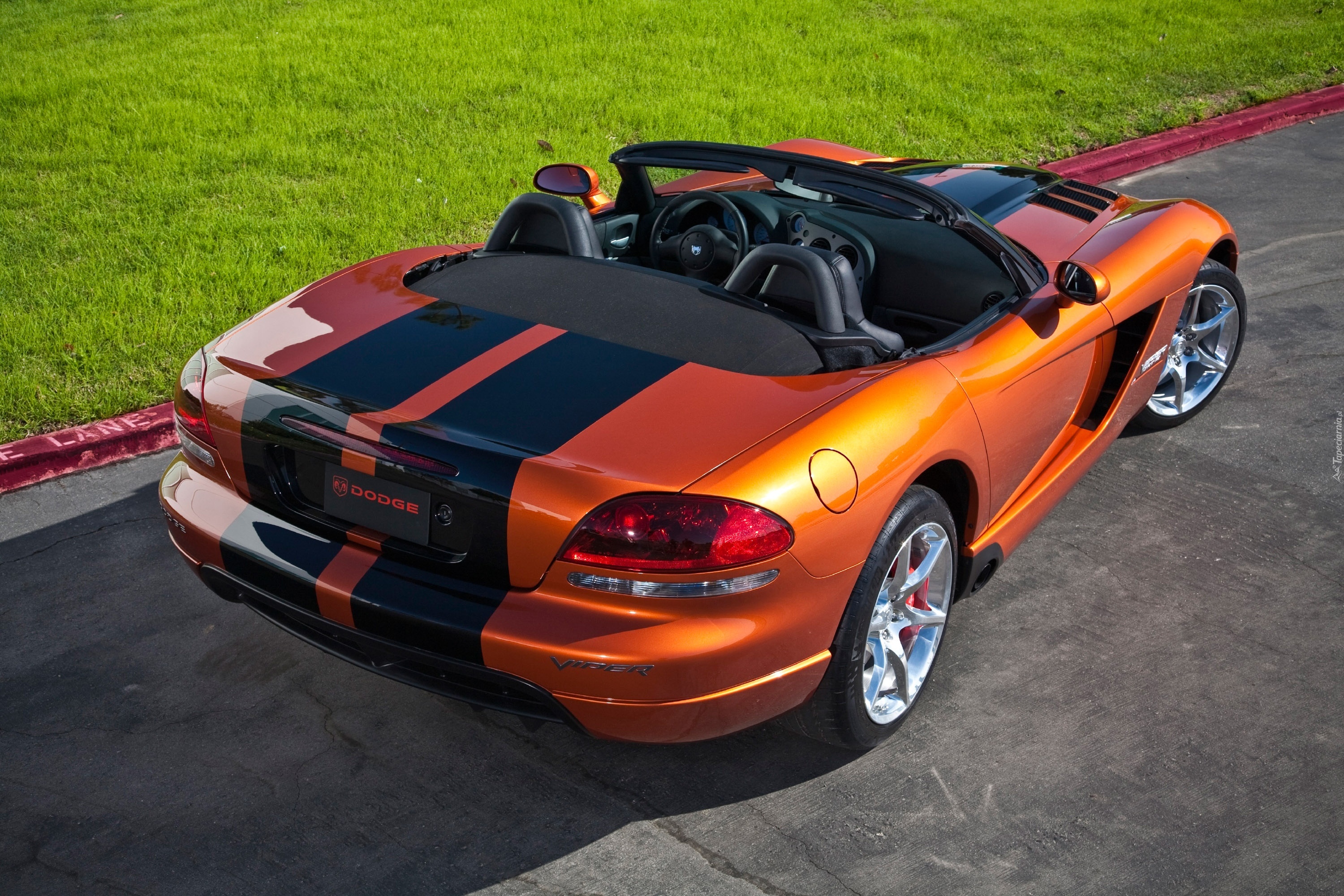 Dodge Viper SRT10, Roadster