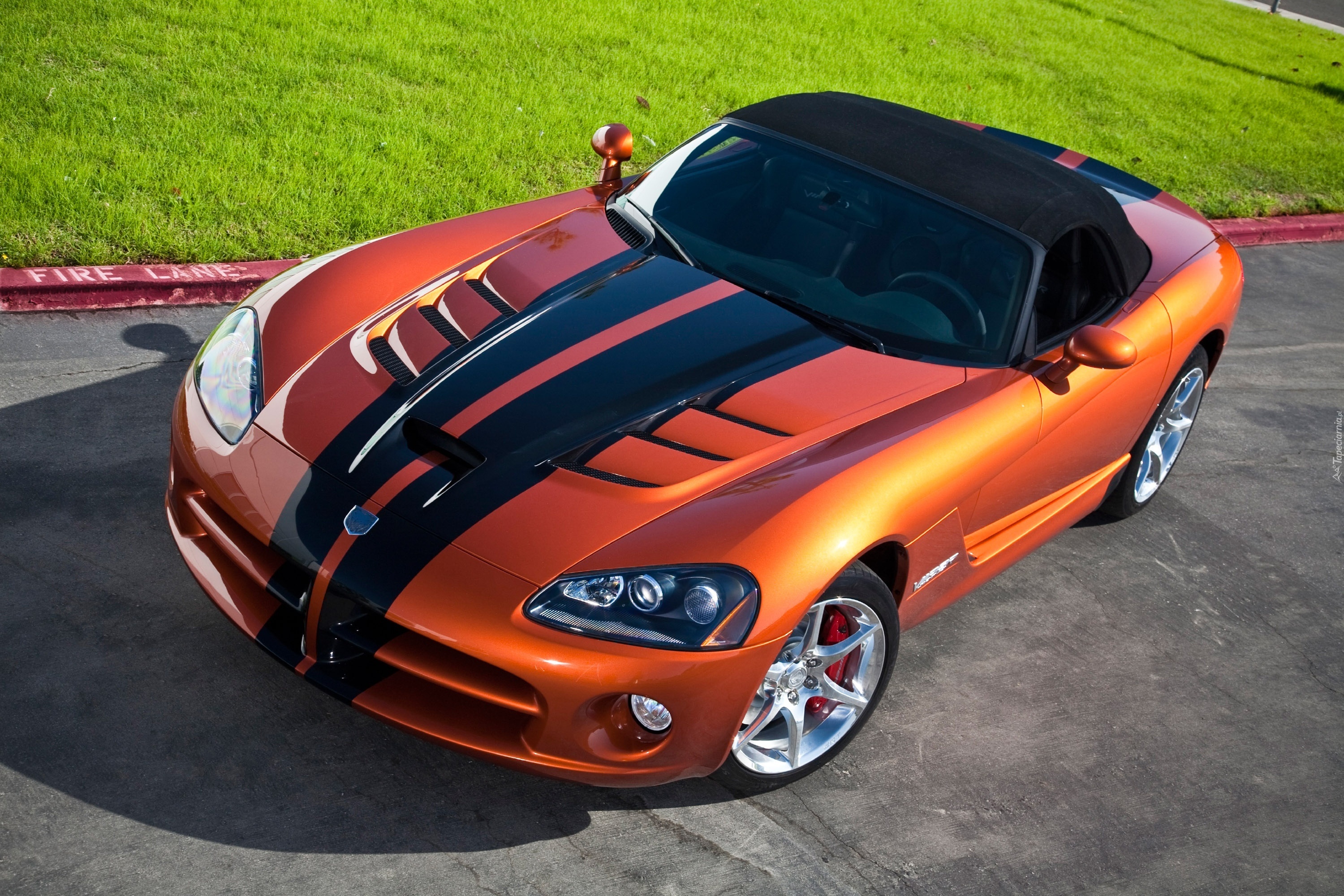 Dodge Viper SRT10, Roadster